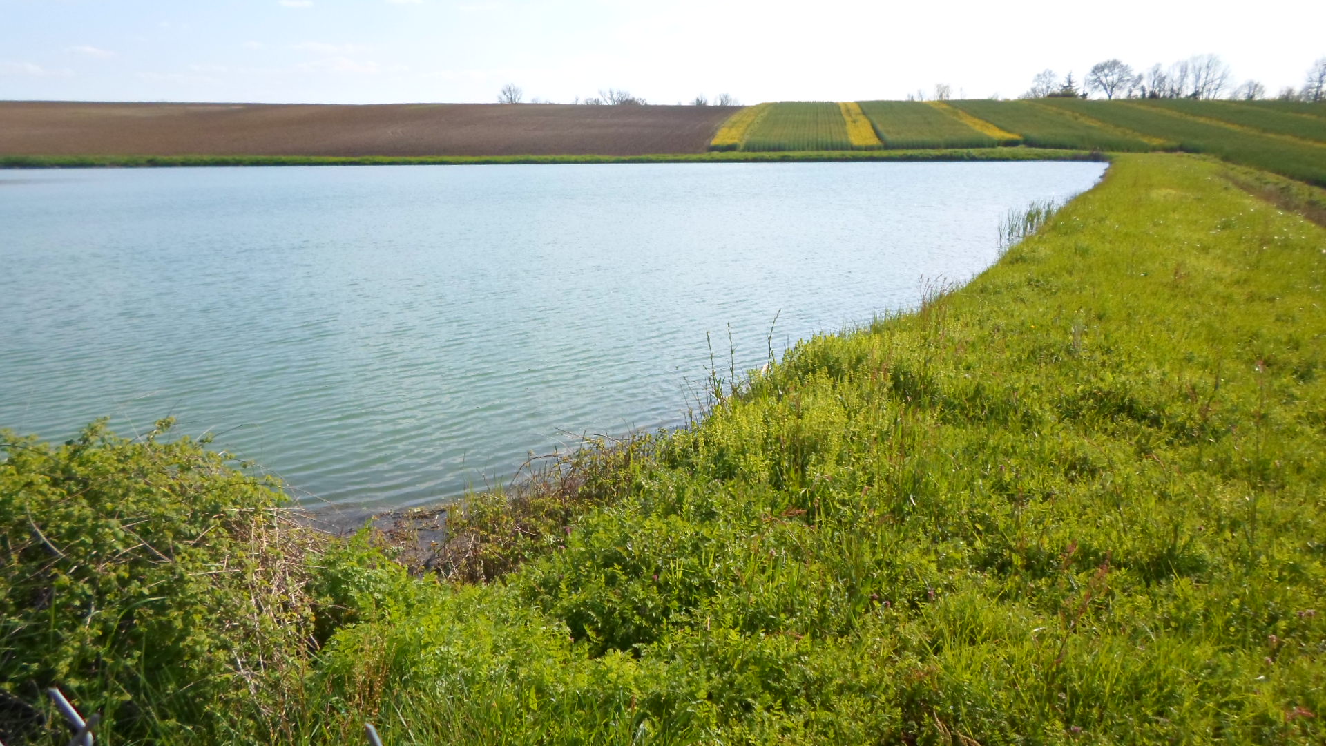 La Ferme d'Haouas, Mézin - photo 14