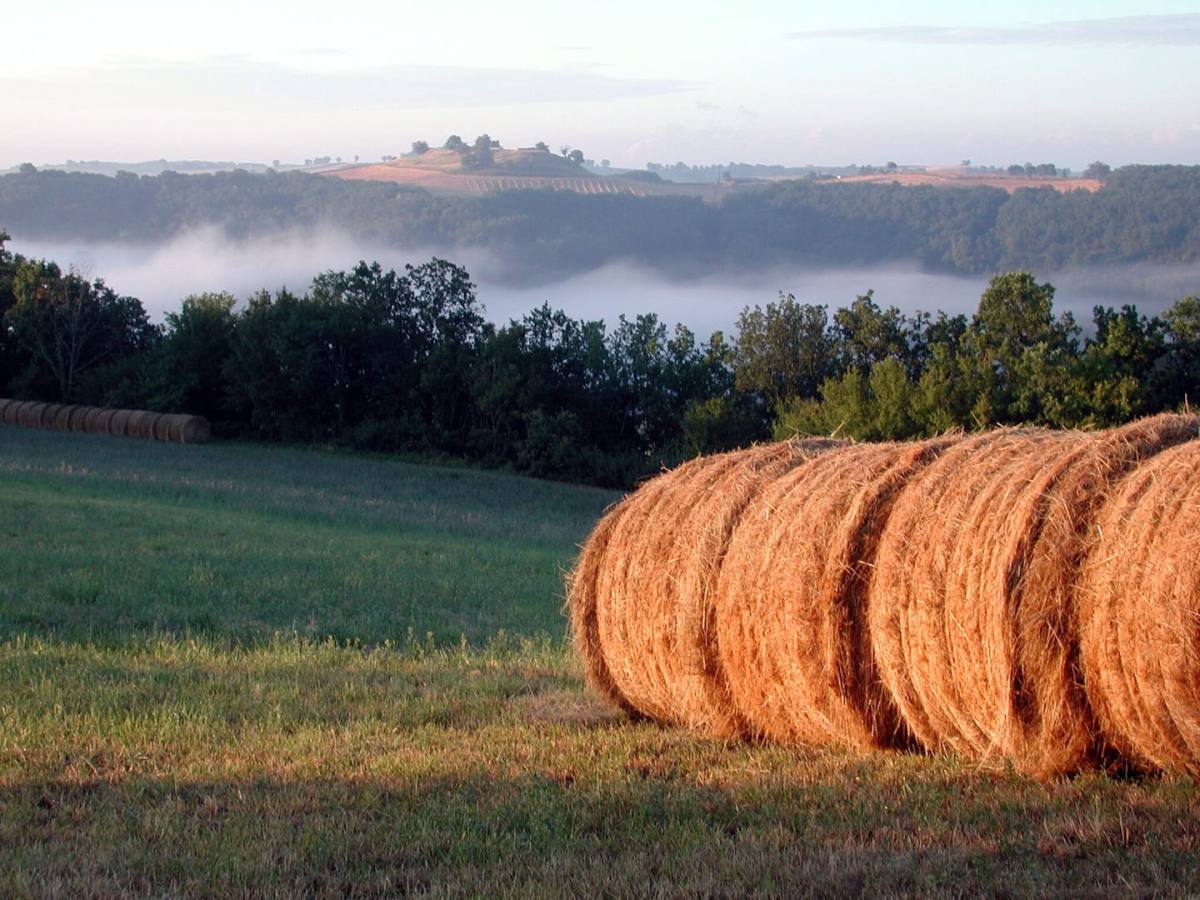 Les Hauts de Laïou, Bajamont - photo 9