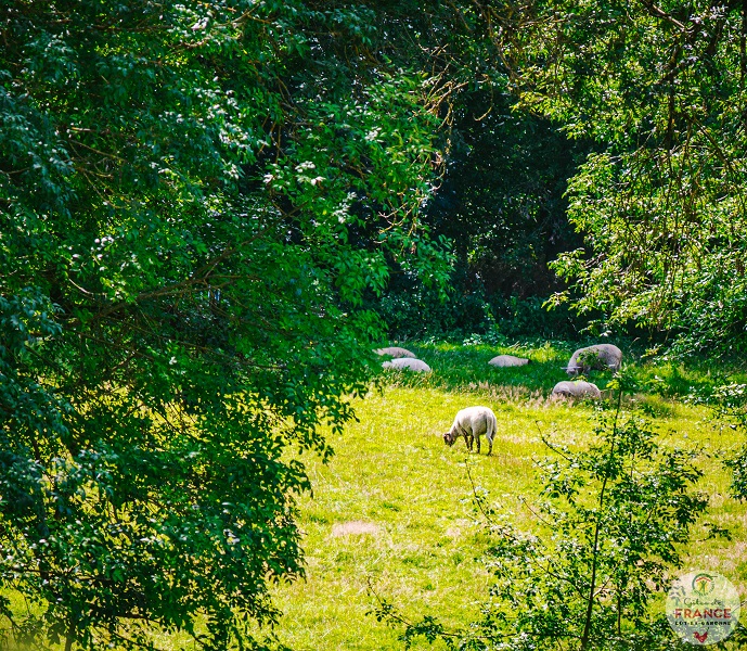Le Séchoir de Braguèze, Roumagne - photo 26
