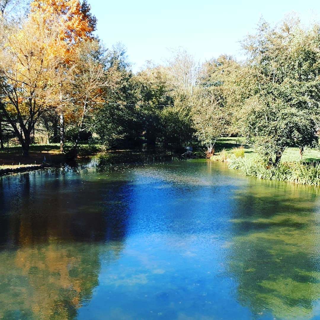 Gîte de l'Etape du Moulin de Lausseignan, Barbaste - photo 17