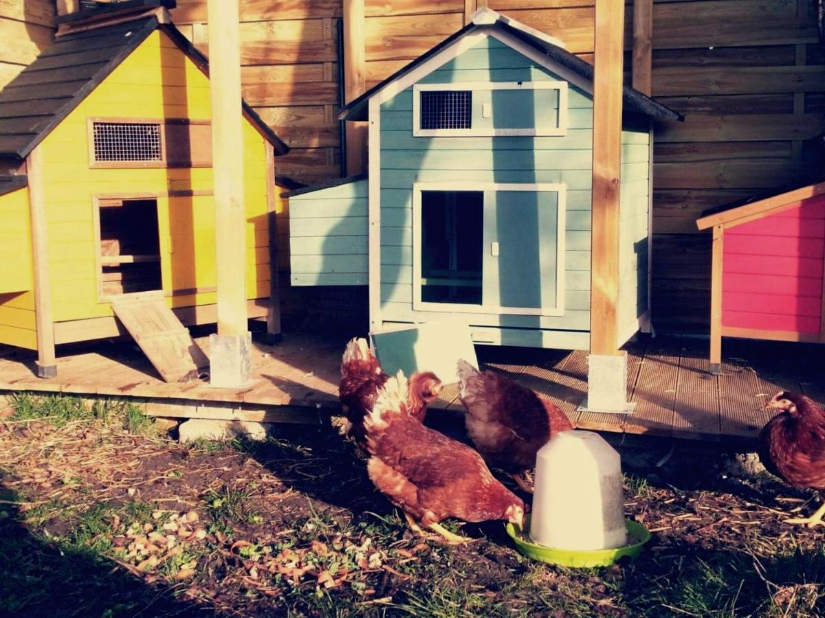 Gîte de l'Etape du Moulin de Lausseignan, Barbaste - photo 18