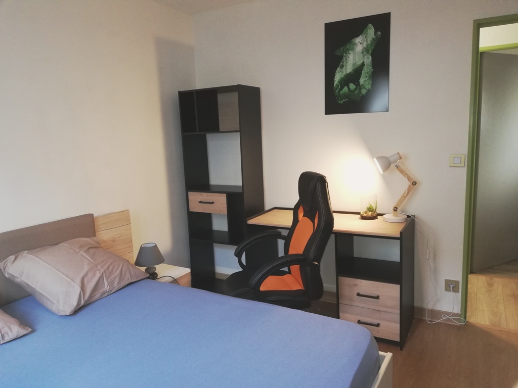 Meublé Alazet, Agen - photo 4