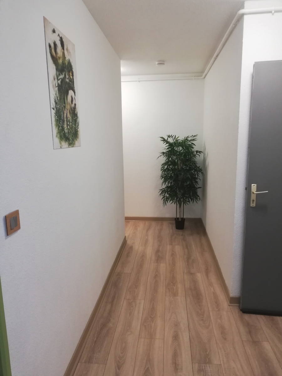 Meublé Alazet, Agen - photo 3