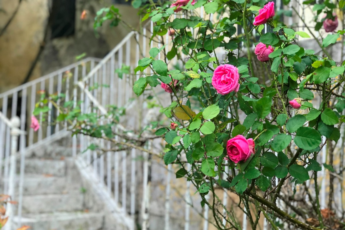 Chambres d'hôtes Coeur de Calignac, Calignac