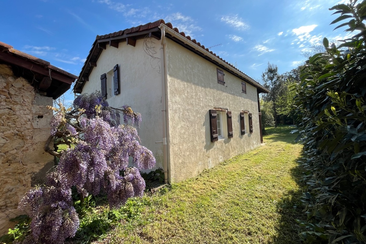 Les Buis Fleuris, Sainte-Maure-de-Peyriac - photo 9