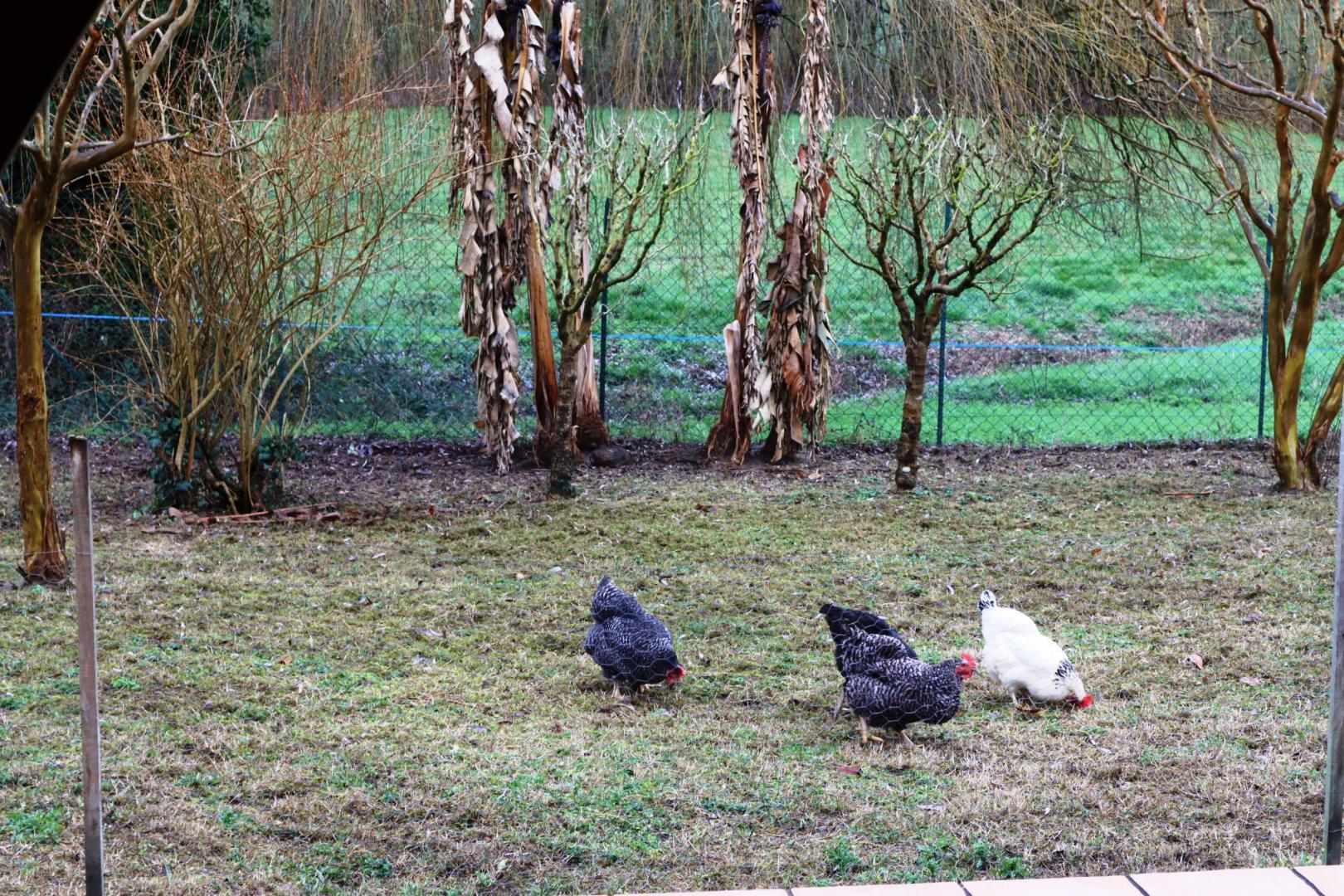Gîte Pas à pas, Roumagne