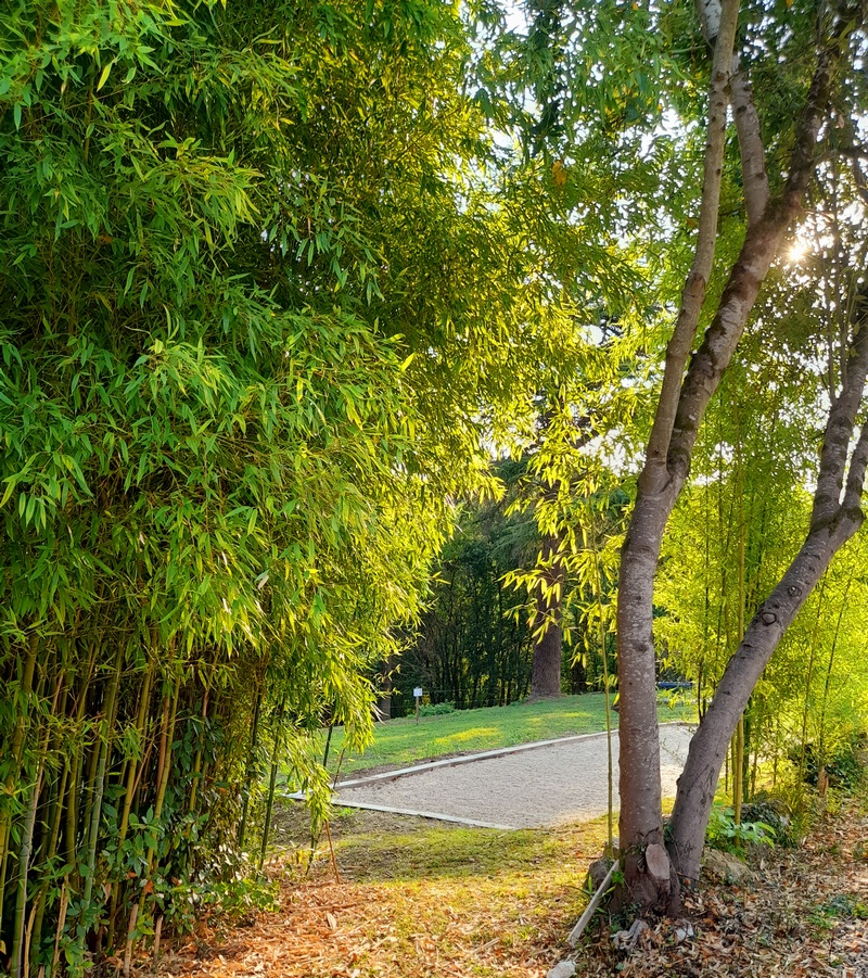 Les Terrasses de l'Insolite - Gîte Le Petit Bonheur, Port-Sainte-Marie - photo 4