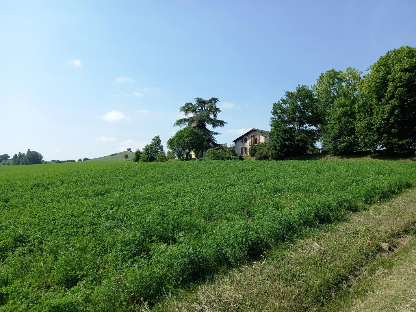 Bruges, Saint-Pastour - photo 11