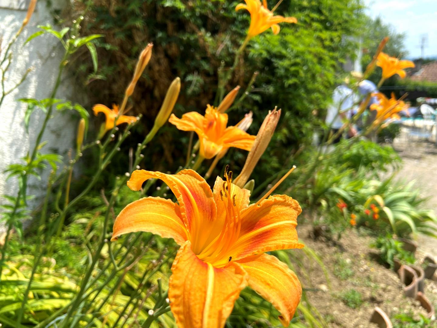 Gîte à Colayrac, Colayrac-Saint-Cirq - photo 4