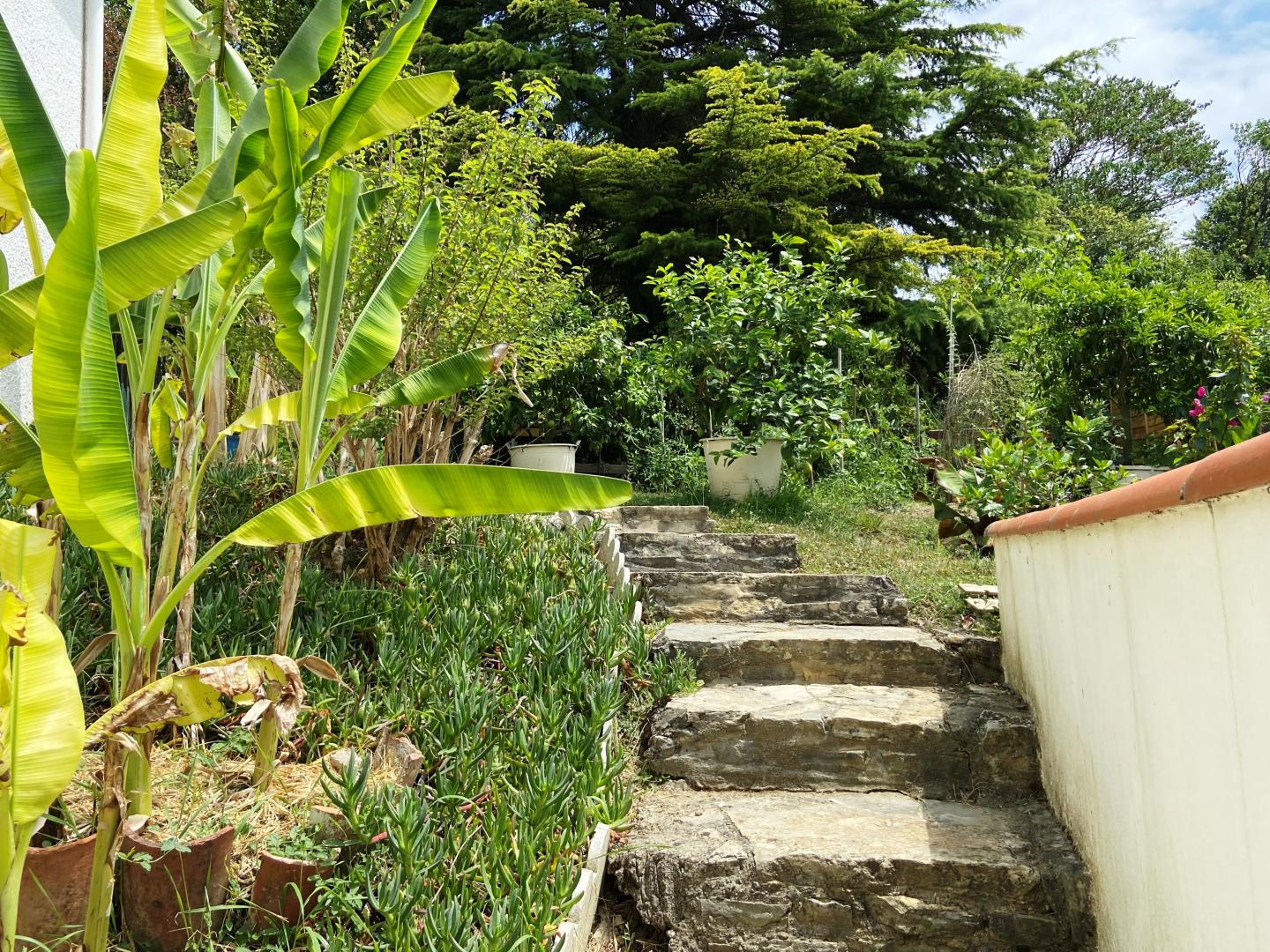 Gîte à Colayrac, Colayrac-Saint-Cirq - photo 18