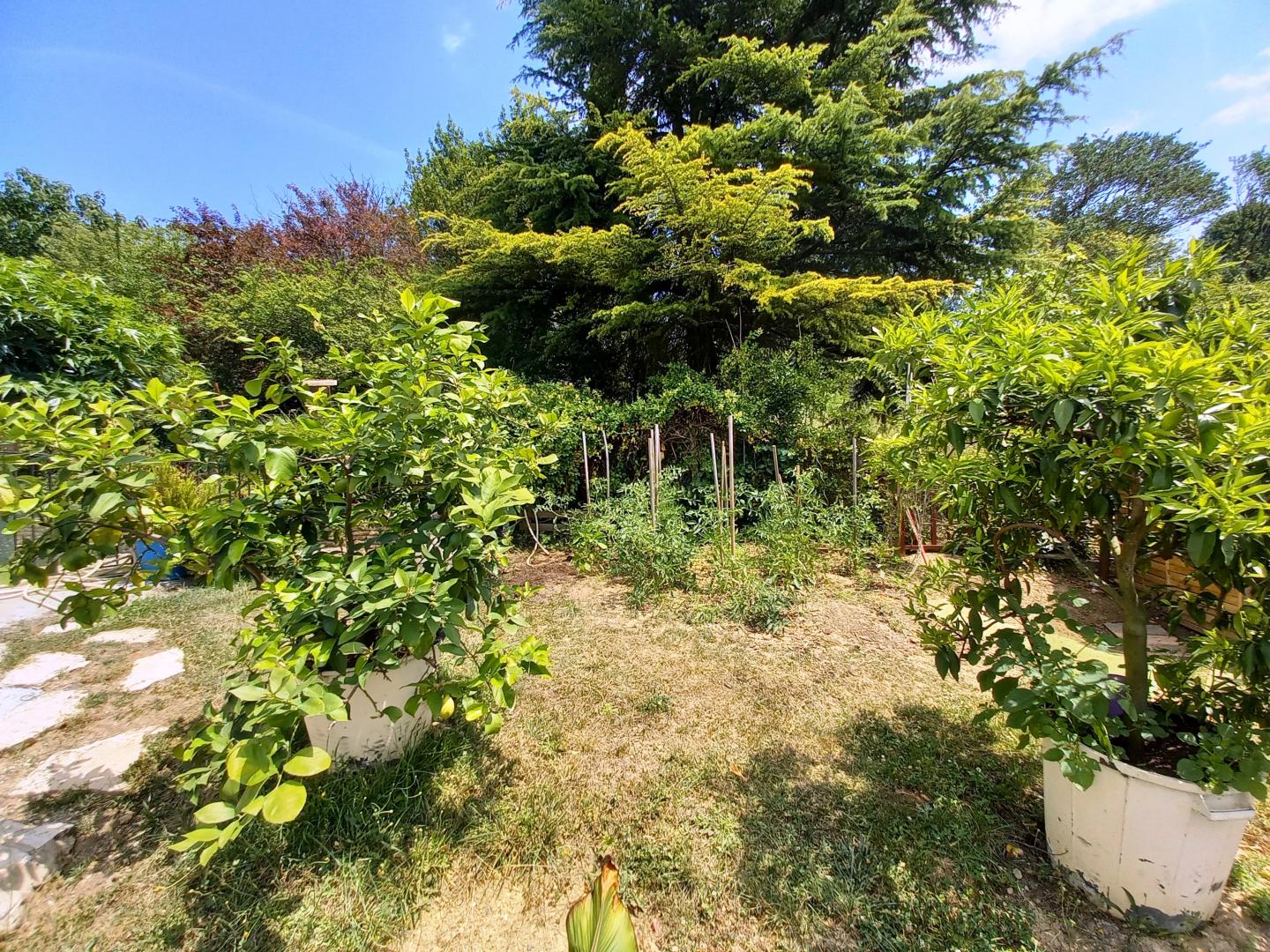 Gîte à Colayrac - photo 2