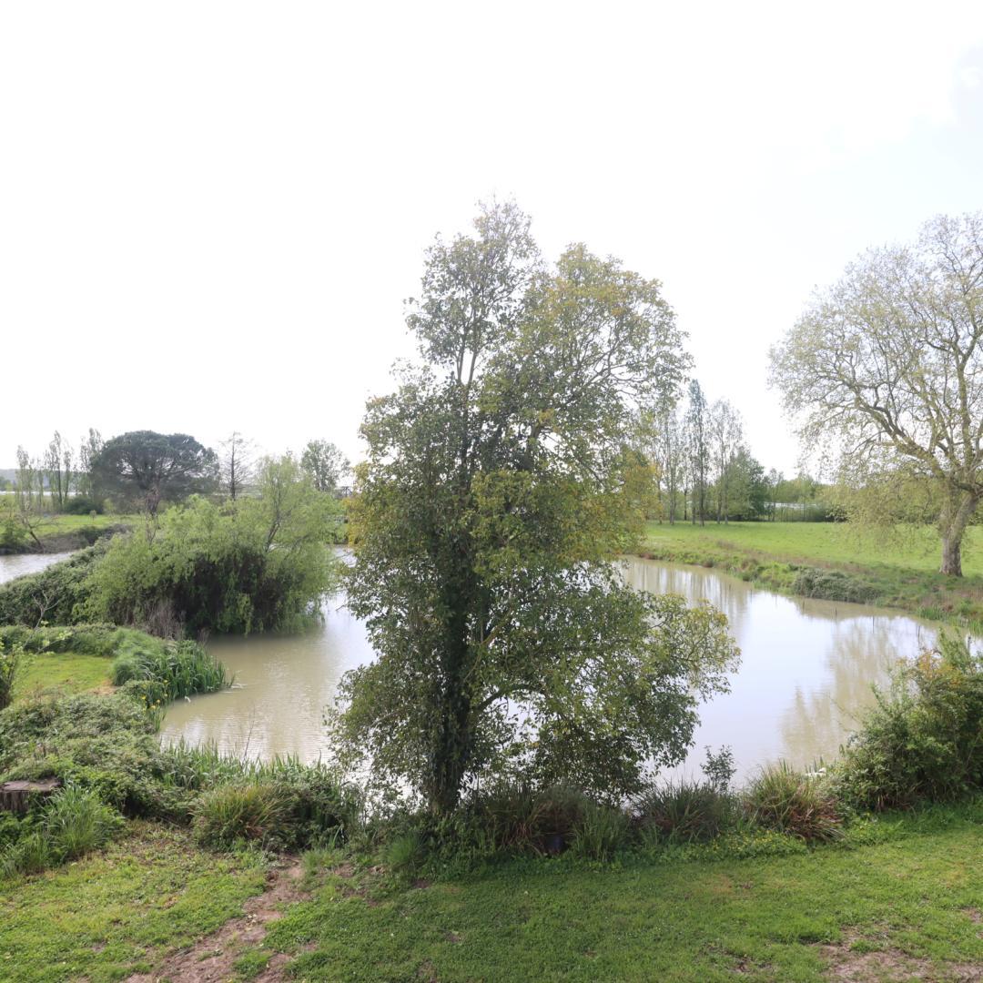 Le parc de Gouts, Aiguillon - photo 33