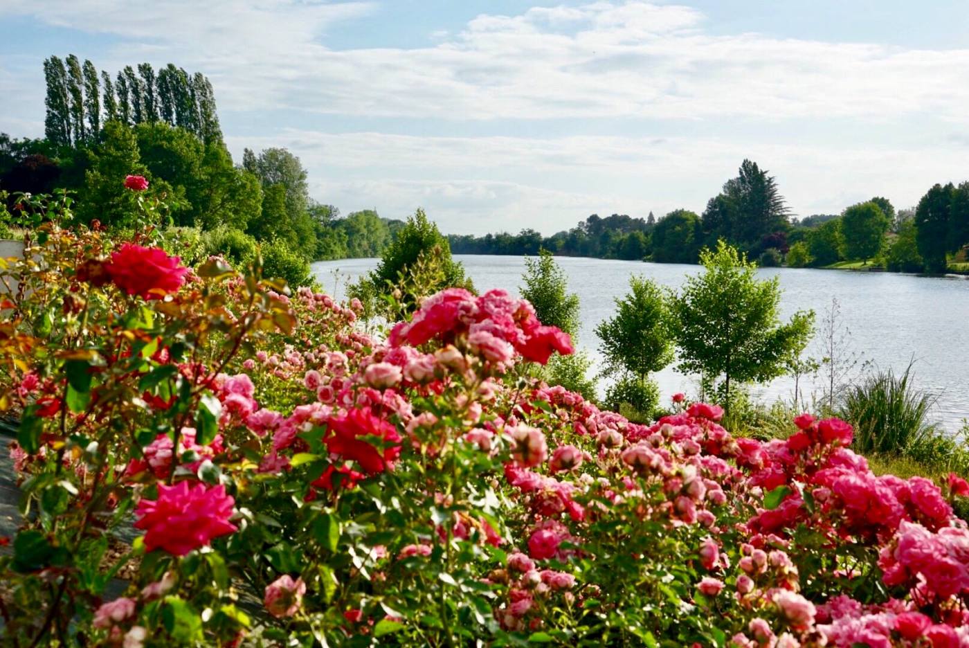 Domaine de Bugatel - appartement 6, Sainte-Livrade-sur-Lot - photo 22