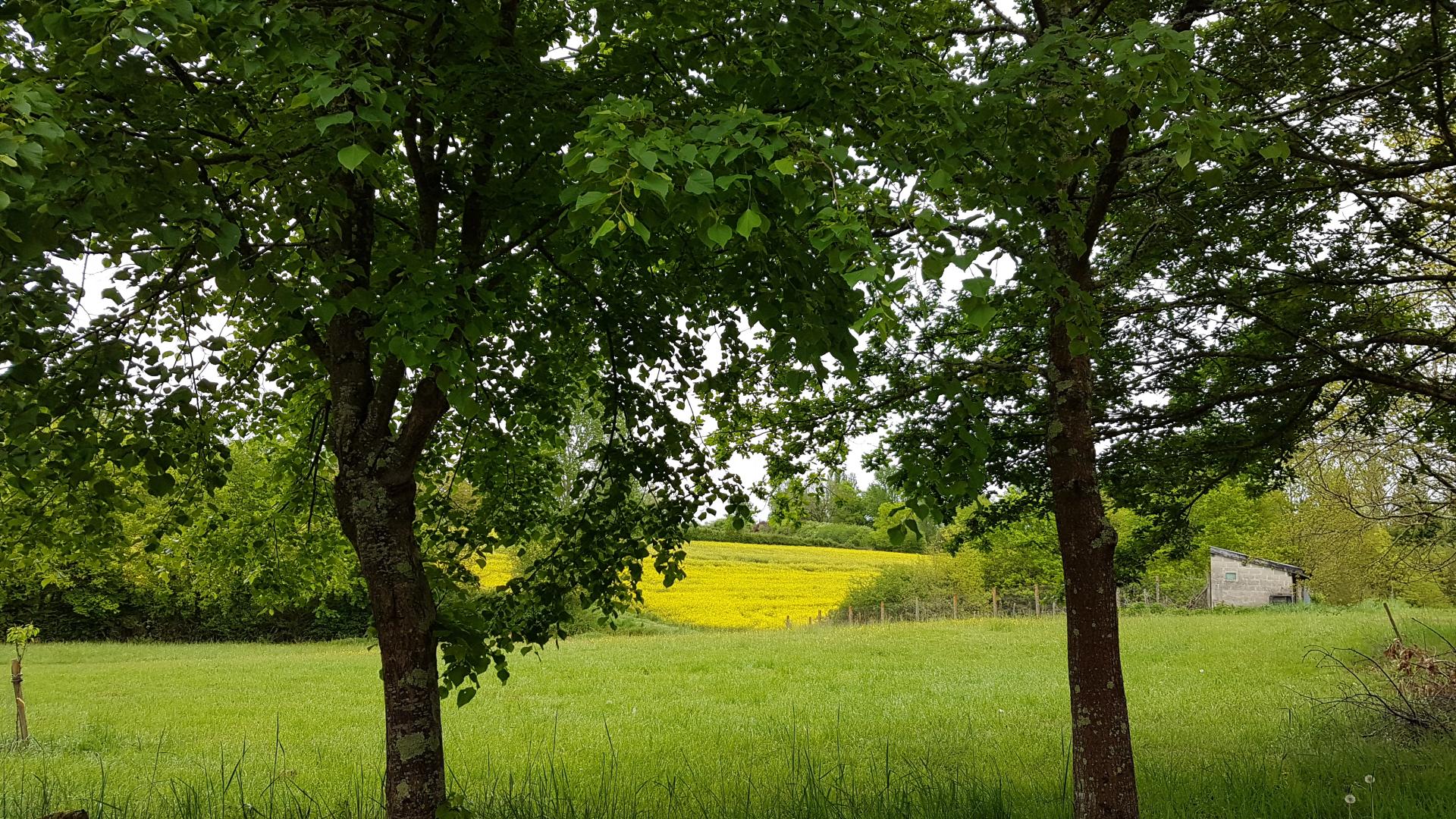 La Fournière, Miramont-de-Guyenne - photo 15