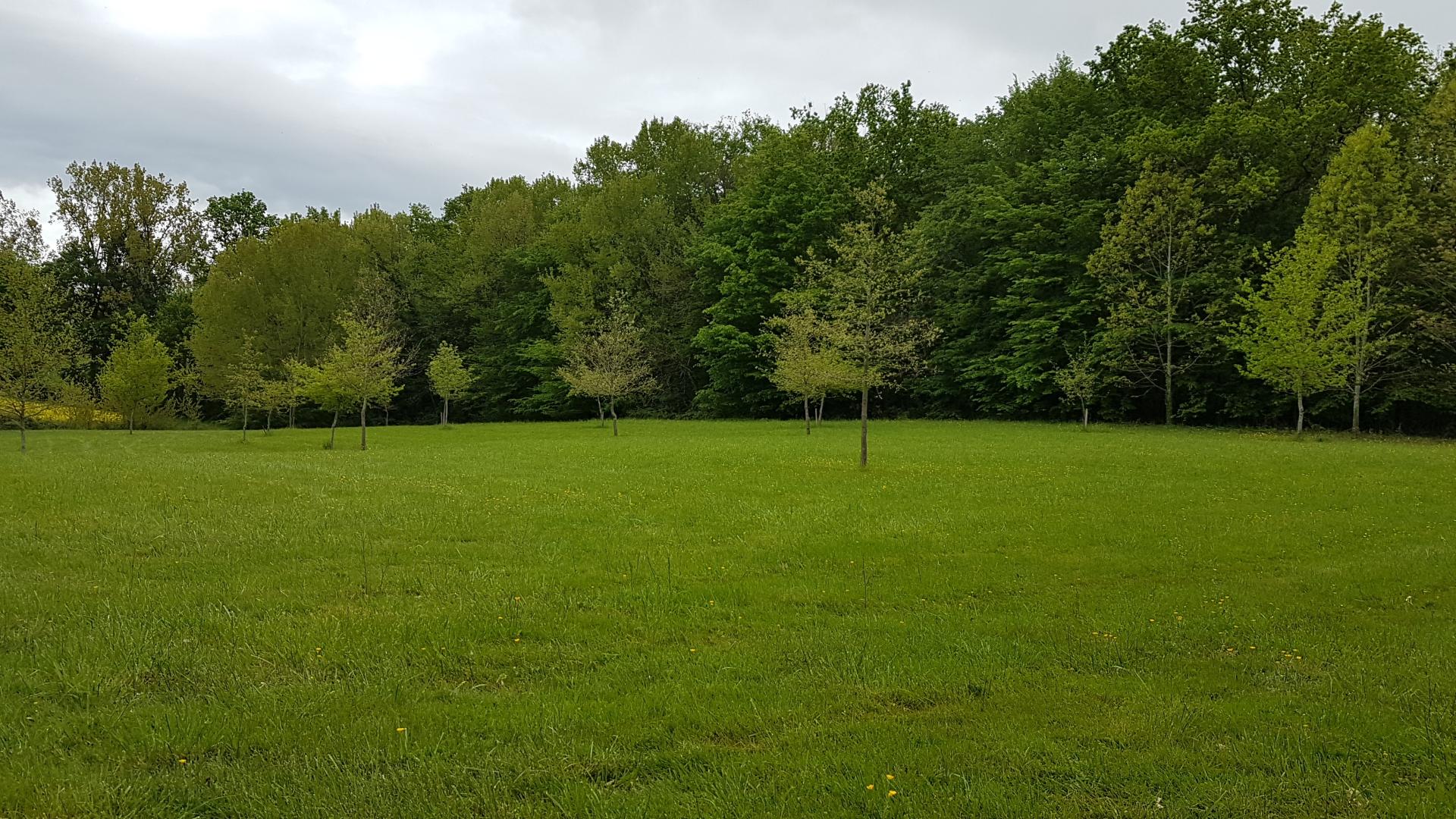 La Fournière, Miramont-de-Guyenne - photo 21
