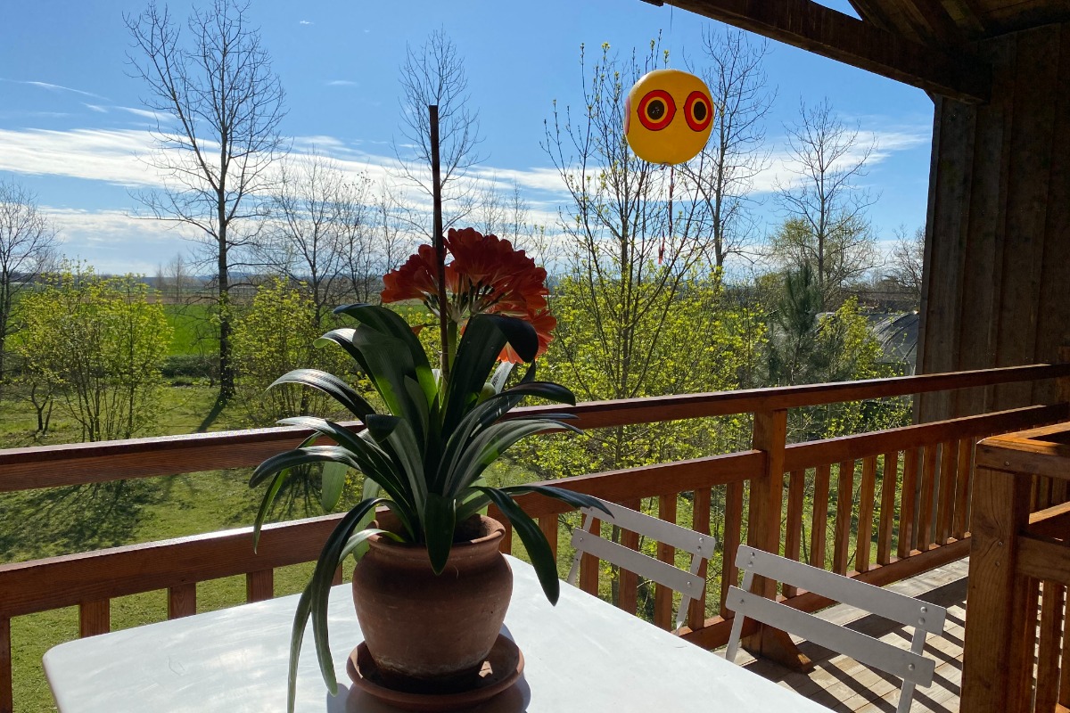 Gîte des Volières, Feugarolles - photo 5