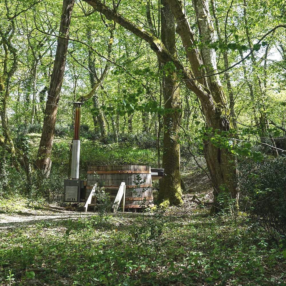 Tiny House Lumen