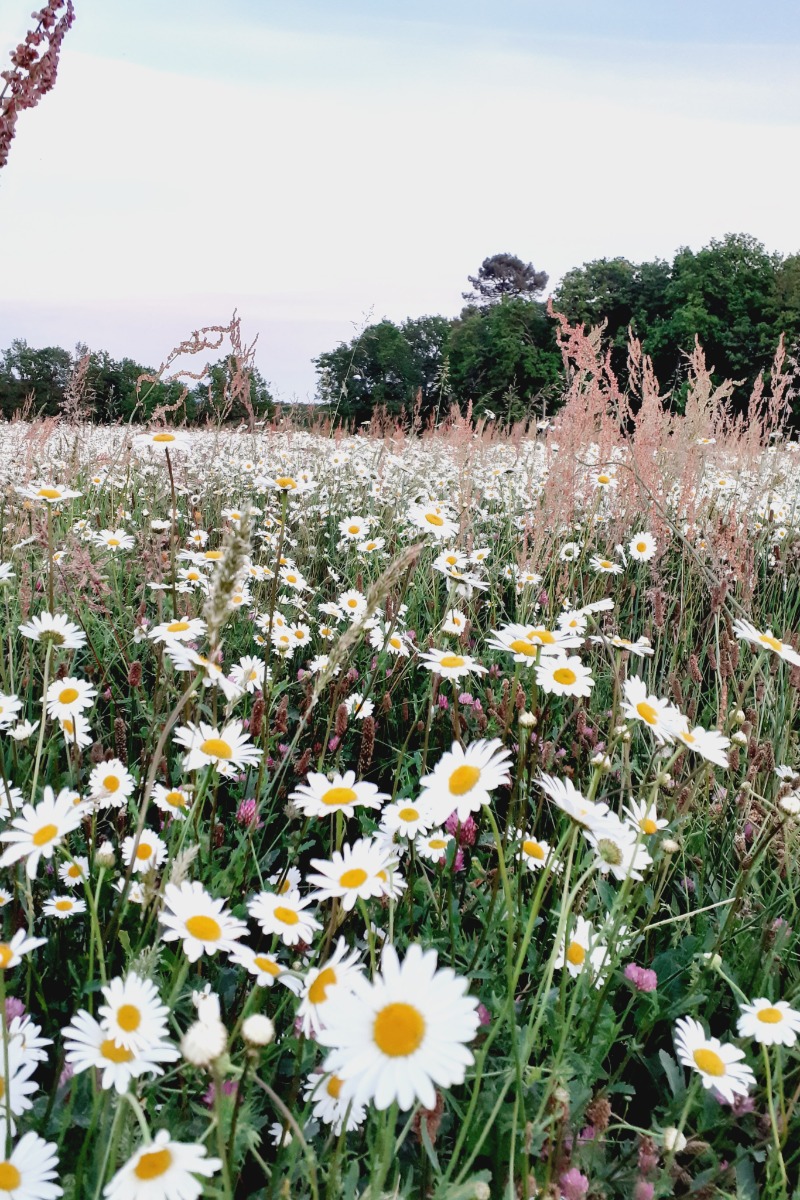 Gîte Le Turqua, Saint-Quentin-du-Dropt - photo 10