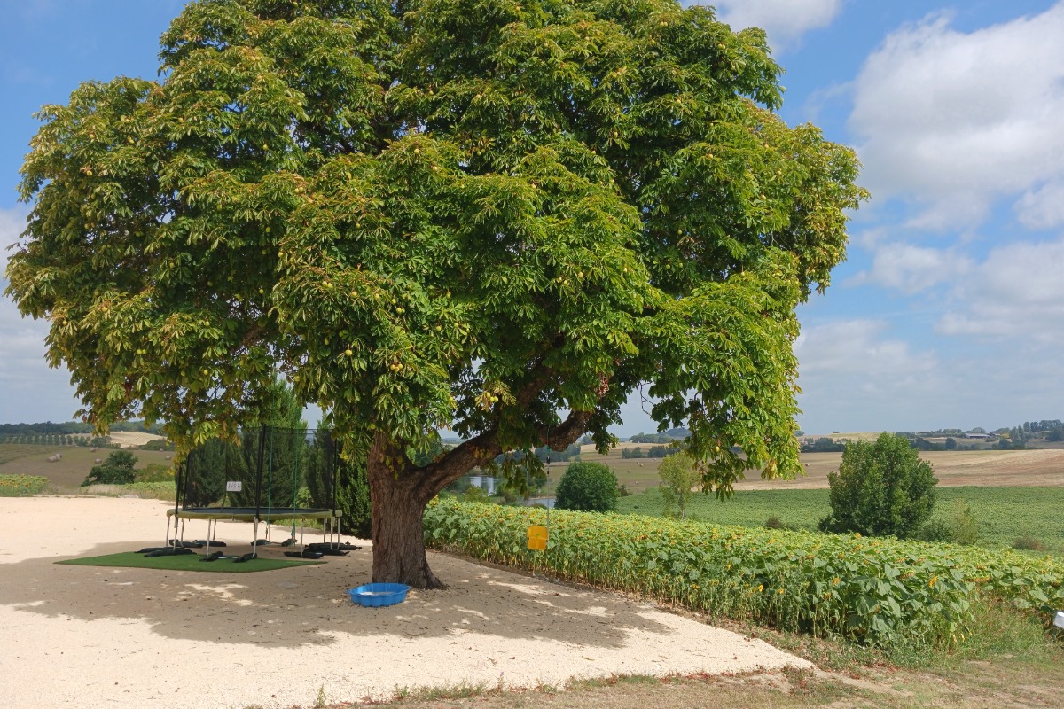 Le Glori, Montastruc - photo 12