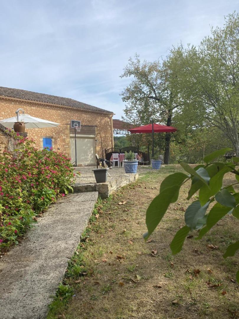 Tauty Bas, Salles - photo 6