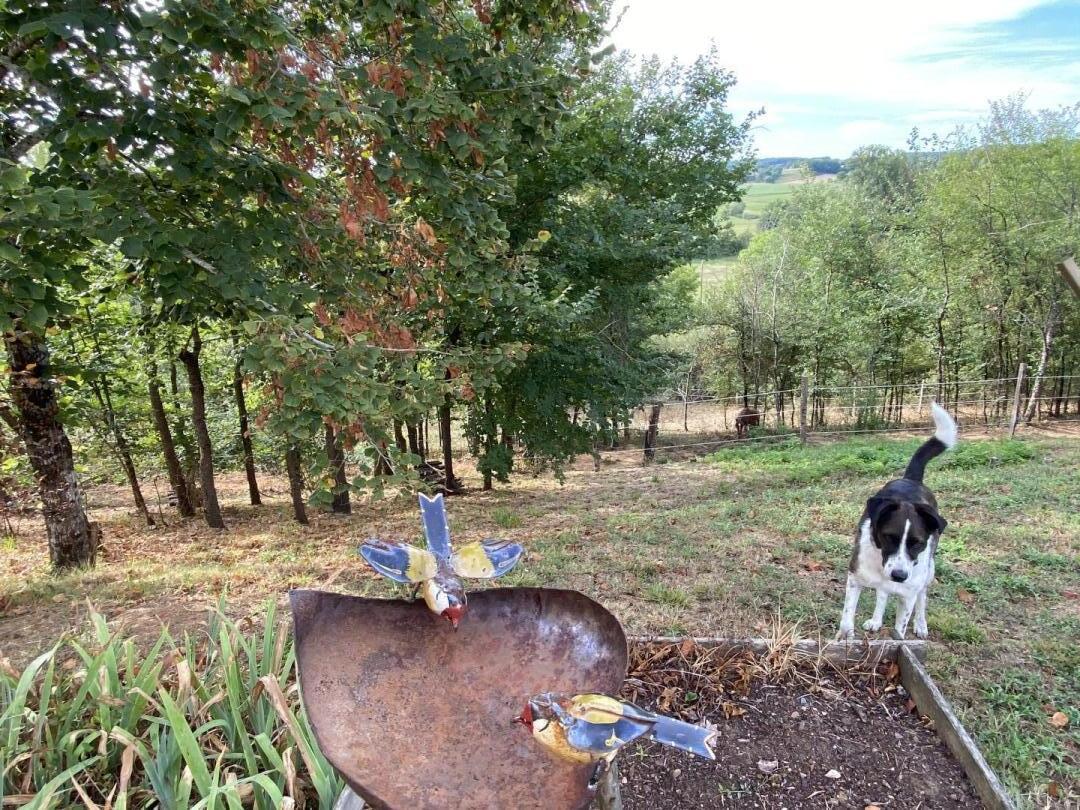 Tauty Bas, Salles - photo 4