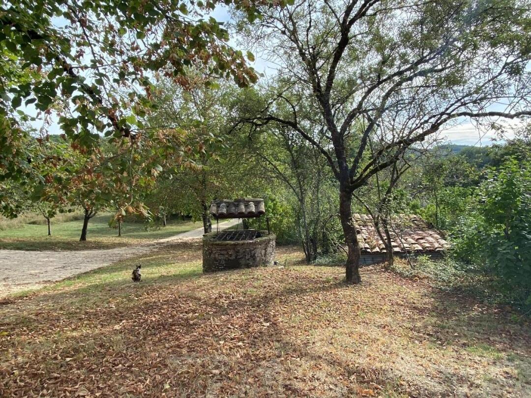 Tauty Bas, Salles - photo 8