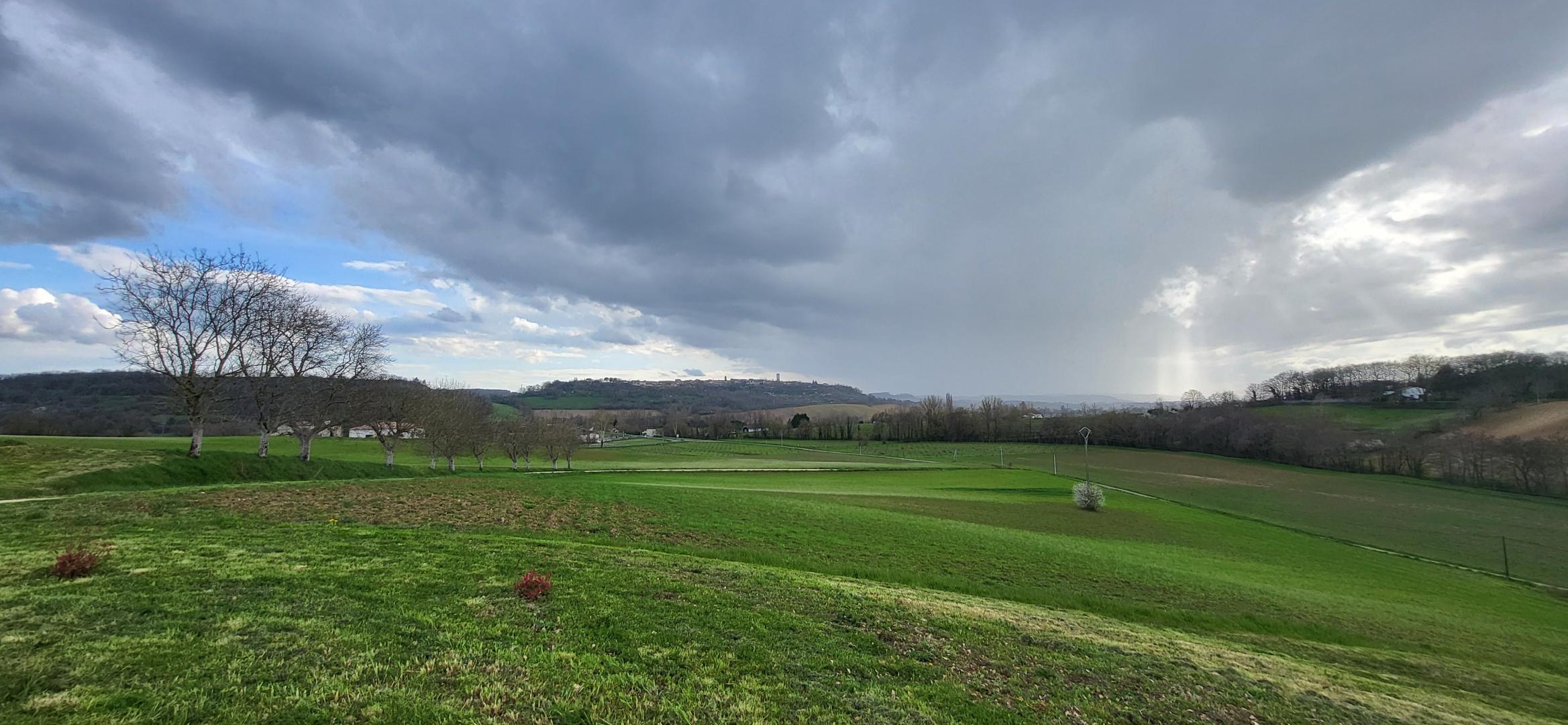 L'amandier, Tayrac - photo 14