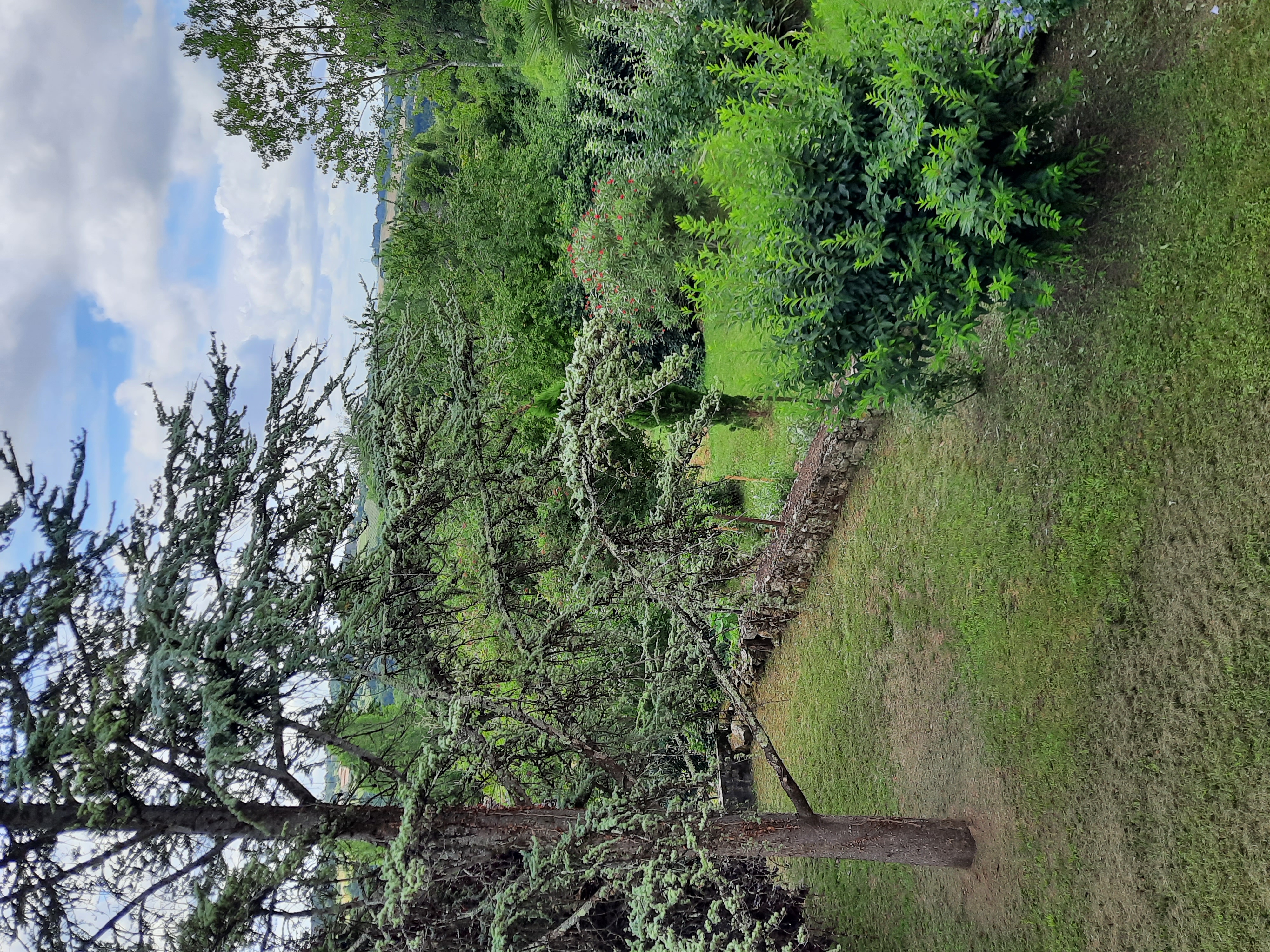 Gîte des Remparts - photo 3