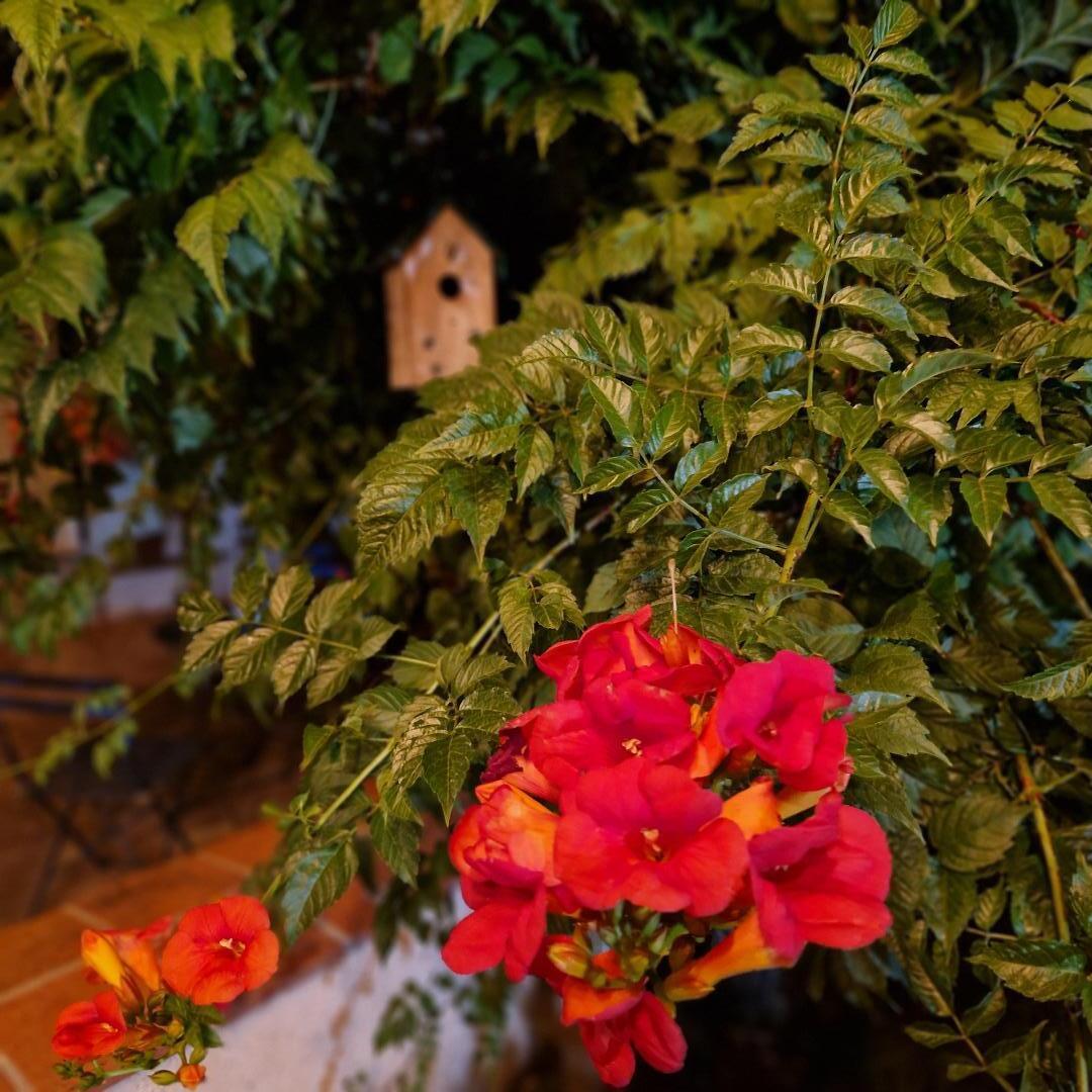 Les Acacias de Mahourat, Aubiac - photo 2