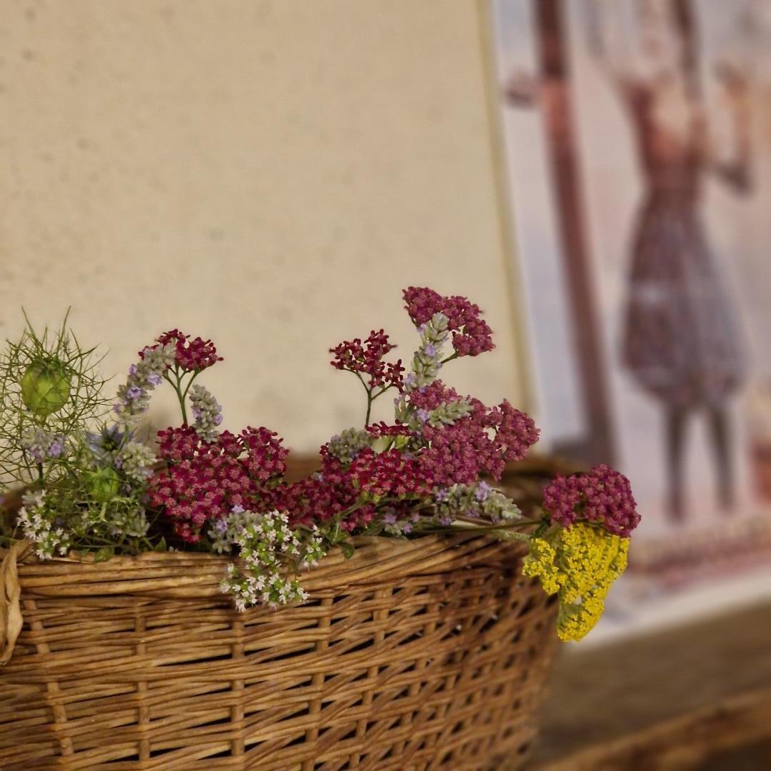 Les Acacias de Mahourat, Aubiac - photo 24