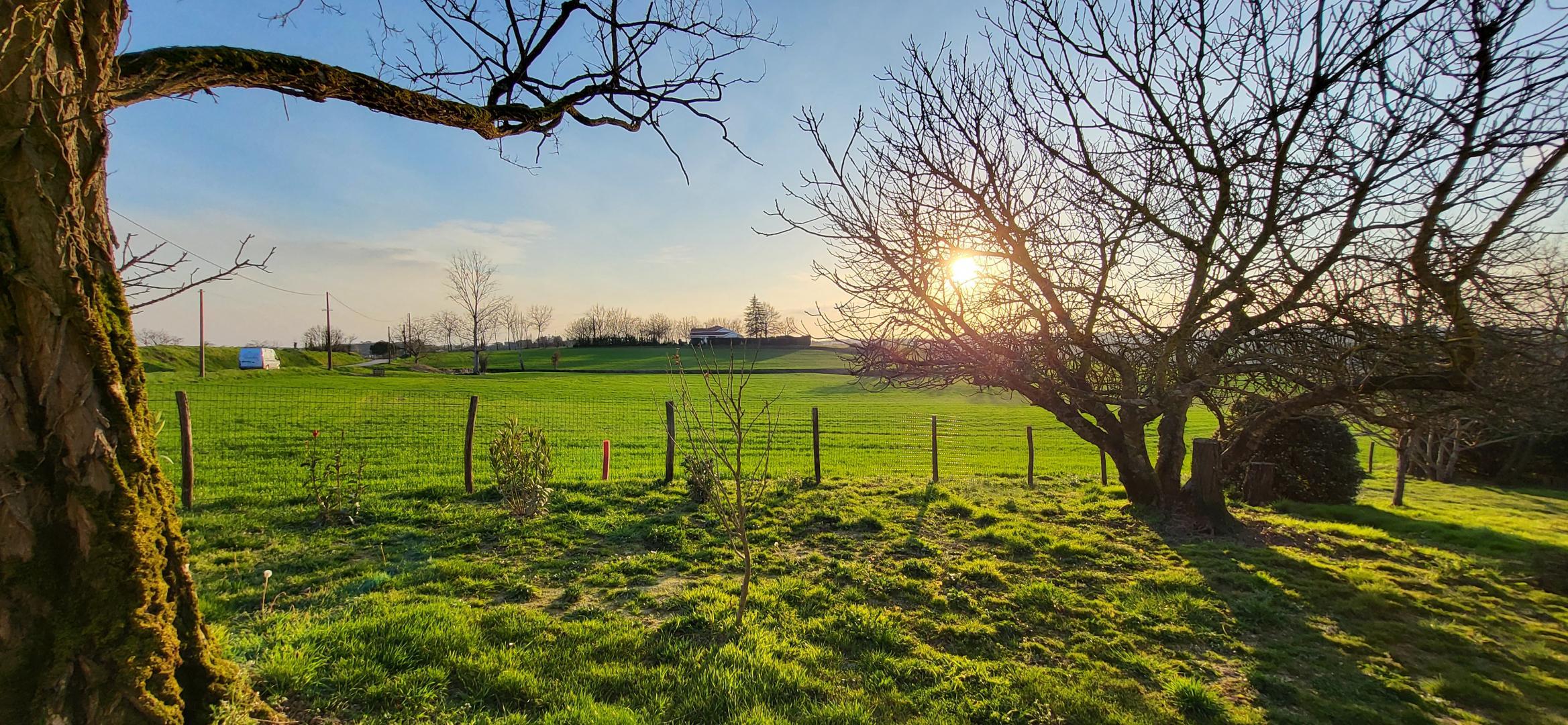 Domaine la Citadelle - Le Chai, Seyches - photo 16