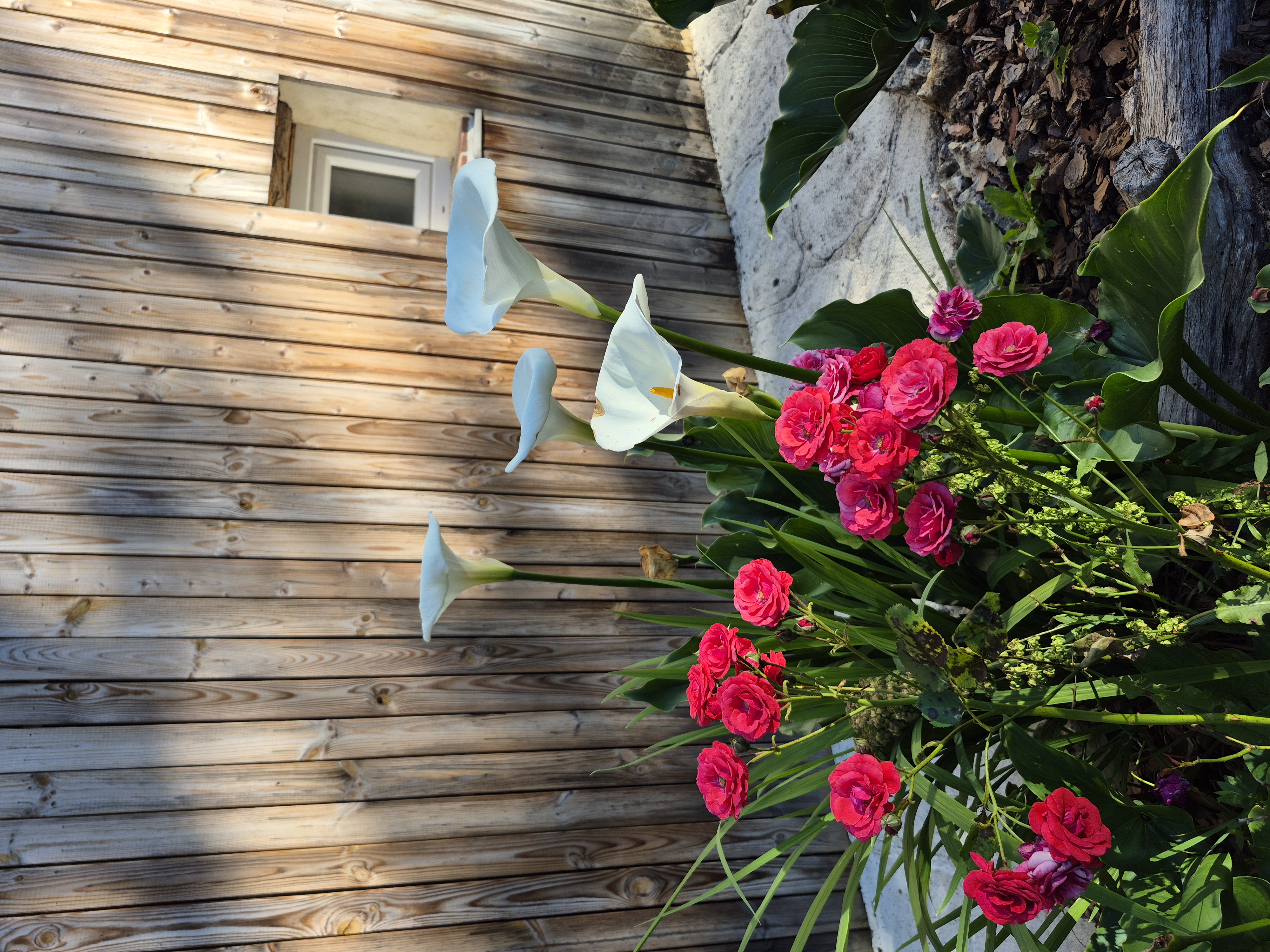 Gîtes de Beaudefour - Le rêve champêtre