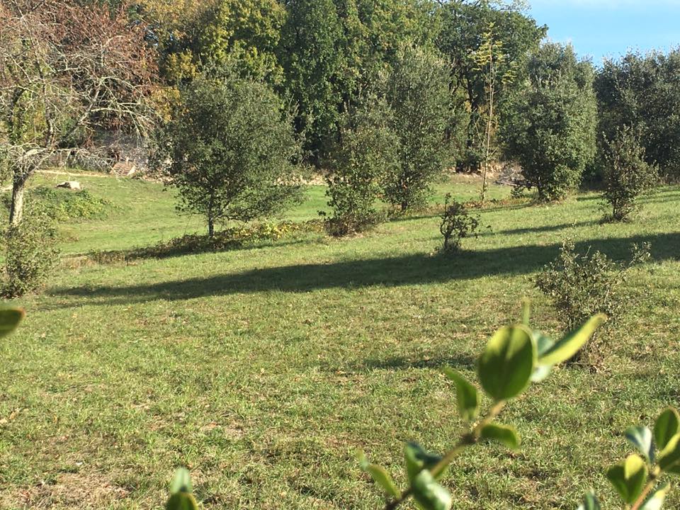 Gîtes de Beaudefour - Le rêve champêtre, Anthé - photo 10