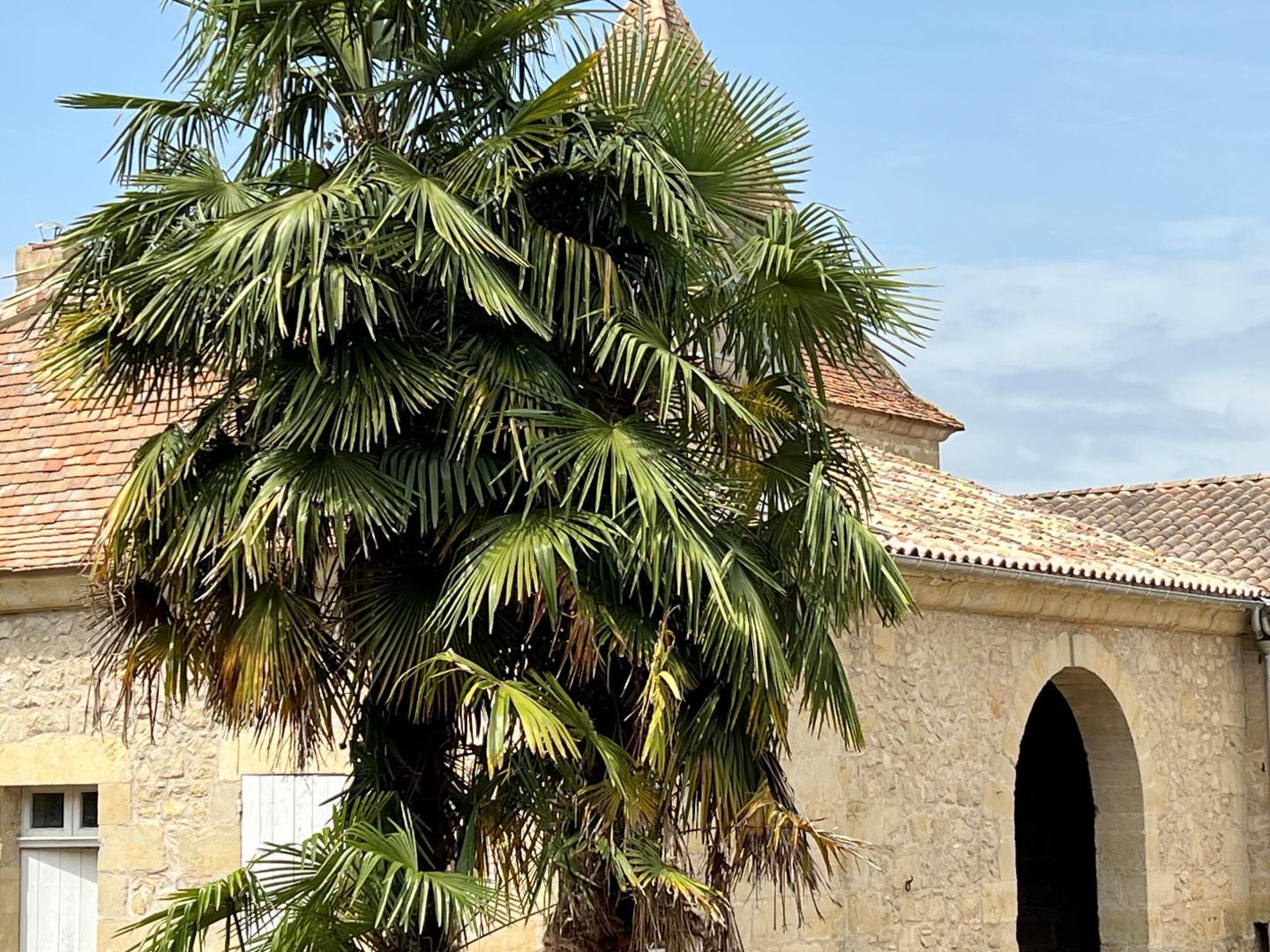 Le Faudon, Gontaud-de-Nogaret - photo 3