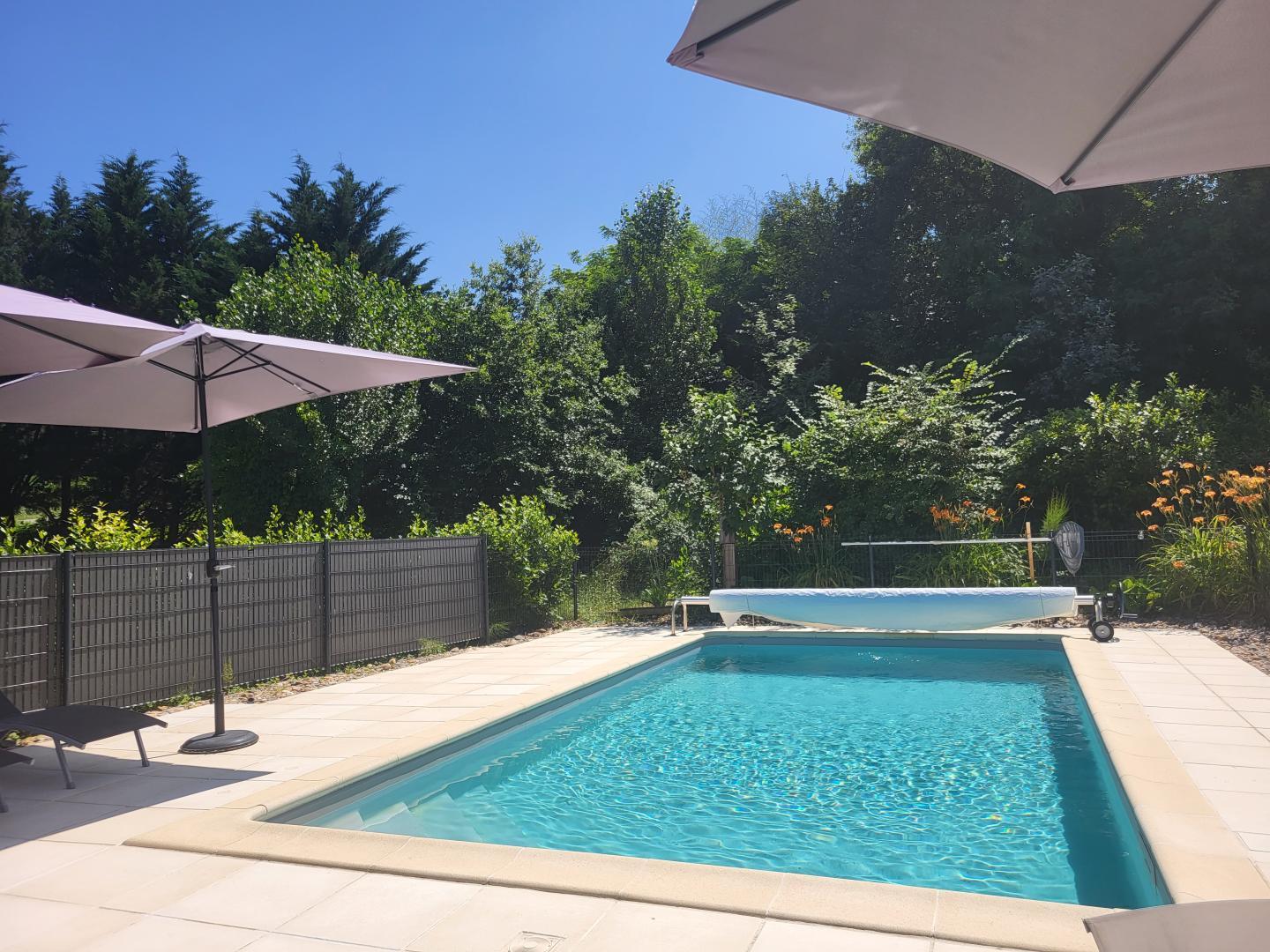 Lavandes, Roumagne - photo 6