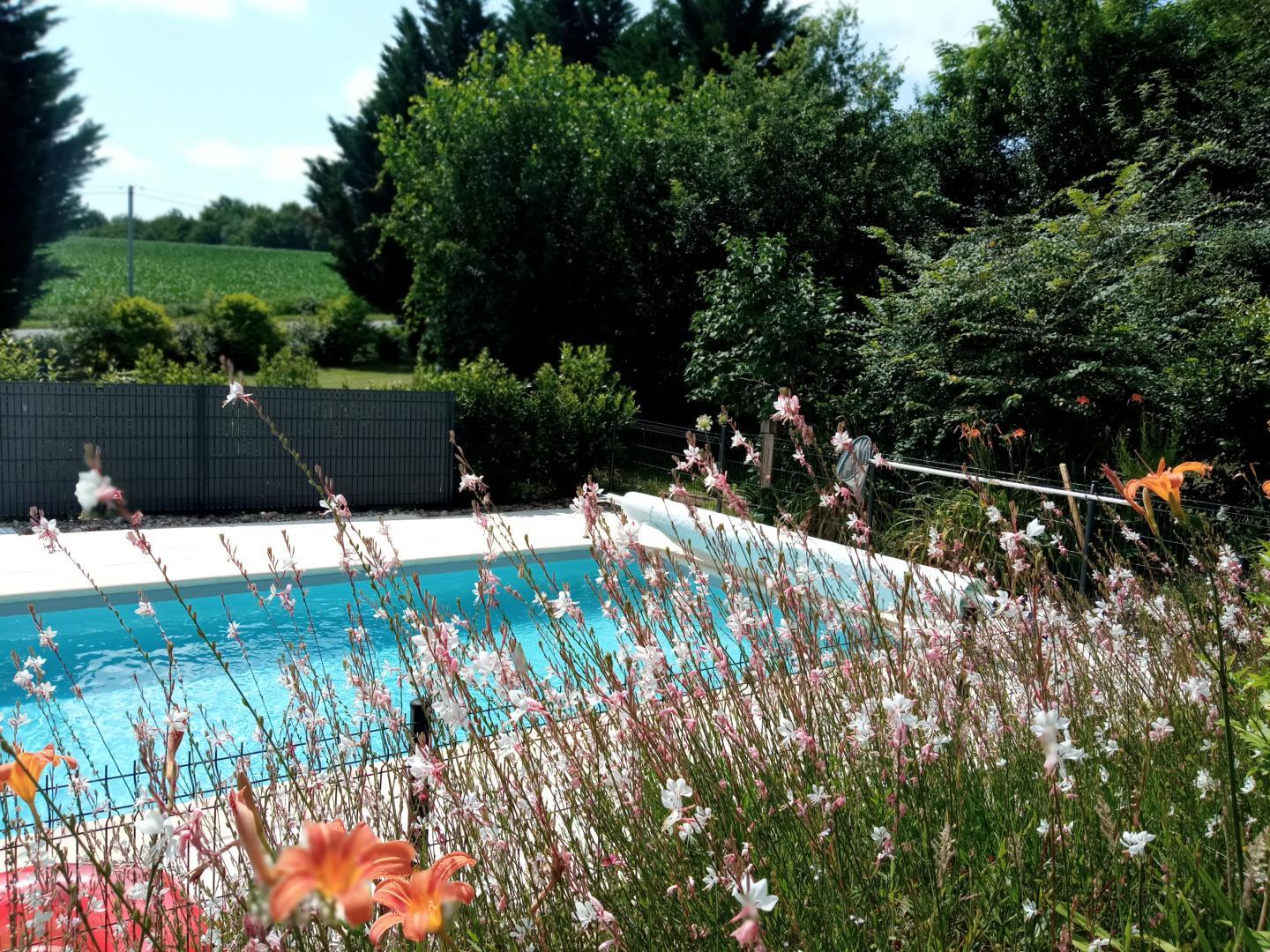 Lavandes, Roumagne - photo 2