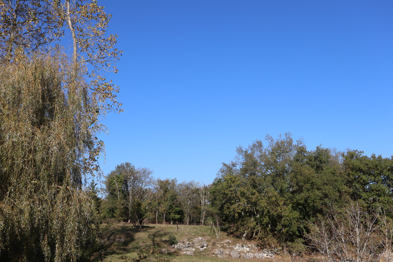 Terra bulle -Roulotte Sérénité, Villeneuve-sur-Lot - photo 13
