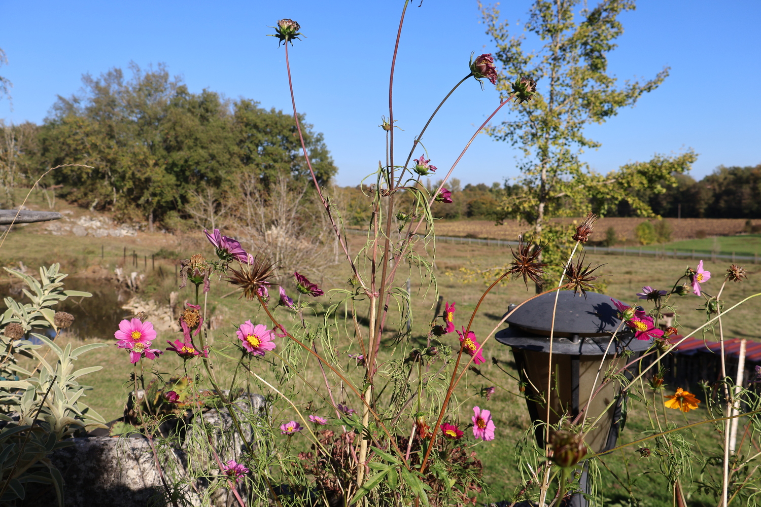 Terra bulle -Roulotte Sérénité, Villeneuve-sur-Lot - photo 14