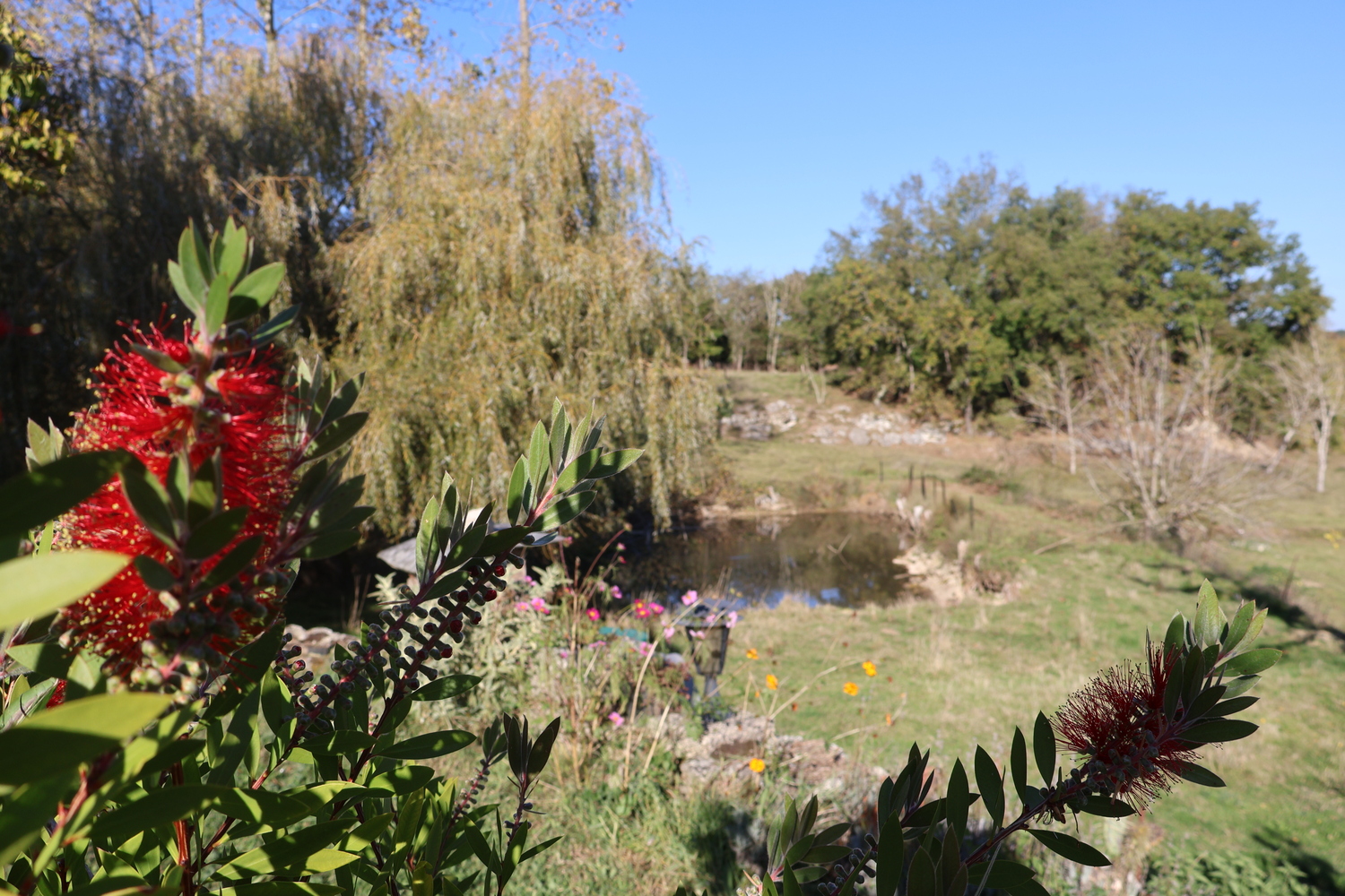 Terra bulle -Roulotte Sérénité, Villeneuve-sur-Lot - photo 4