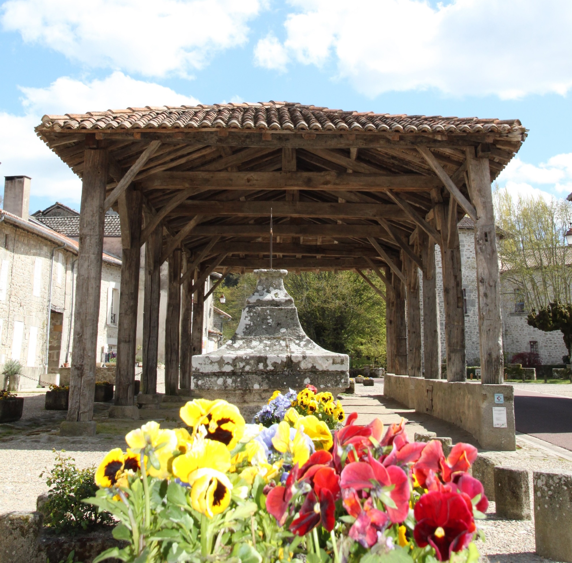 Chemin des grands champs, Mortemart - photo 2