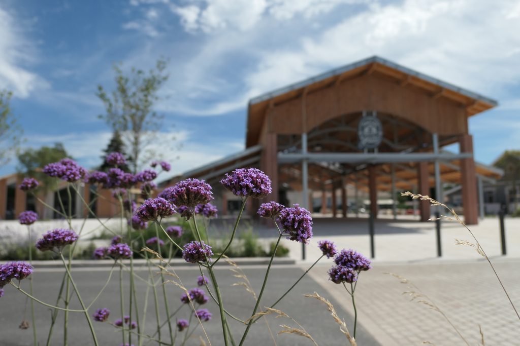 Marché de la Gaité de Lacanau Ville