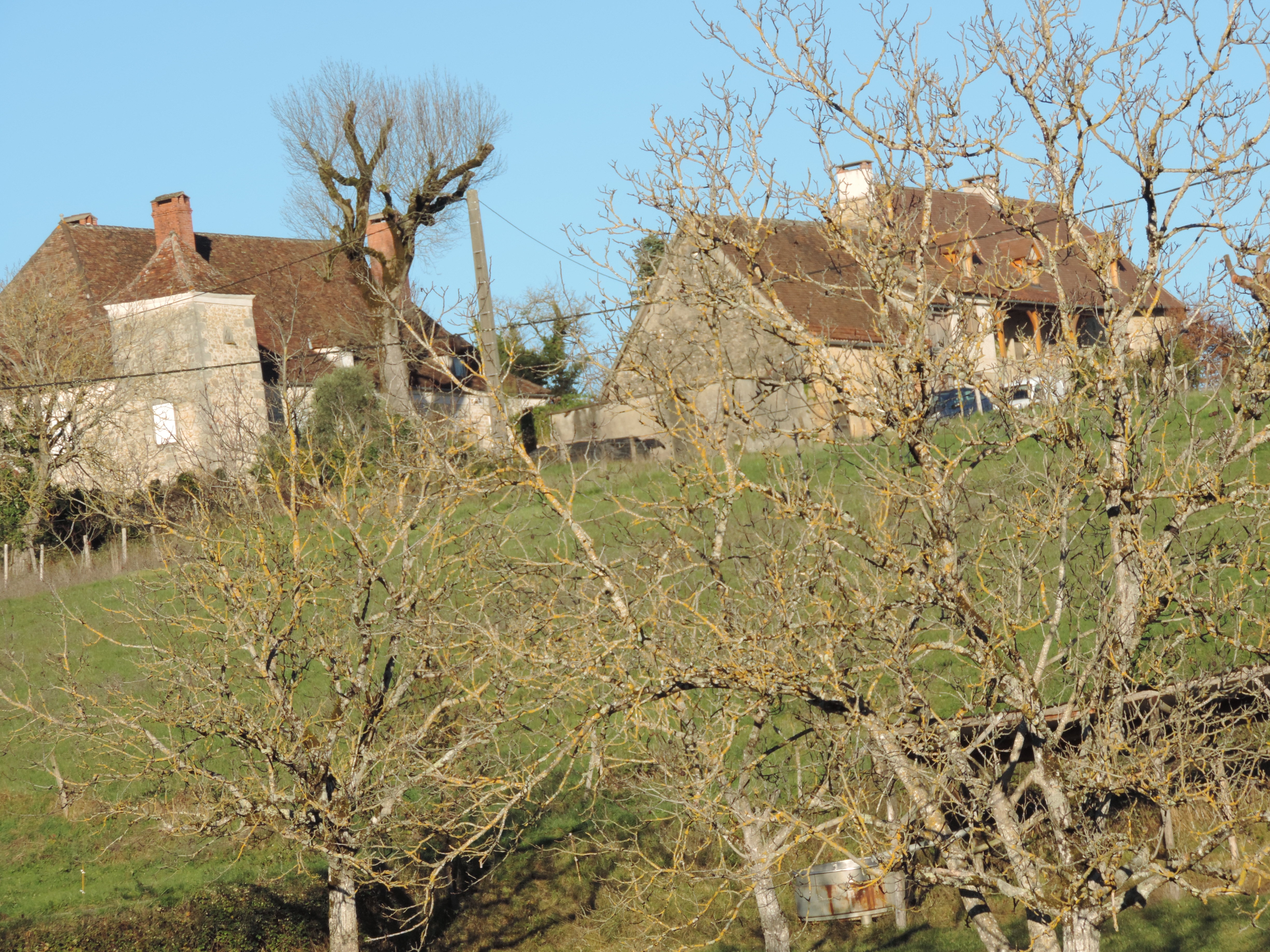 Chemin de la Queyrille, Queyssac-les-Vignes - photo 24