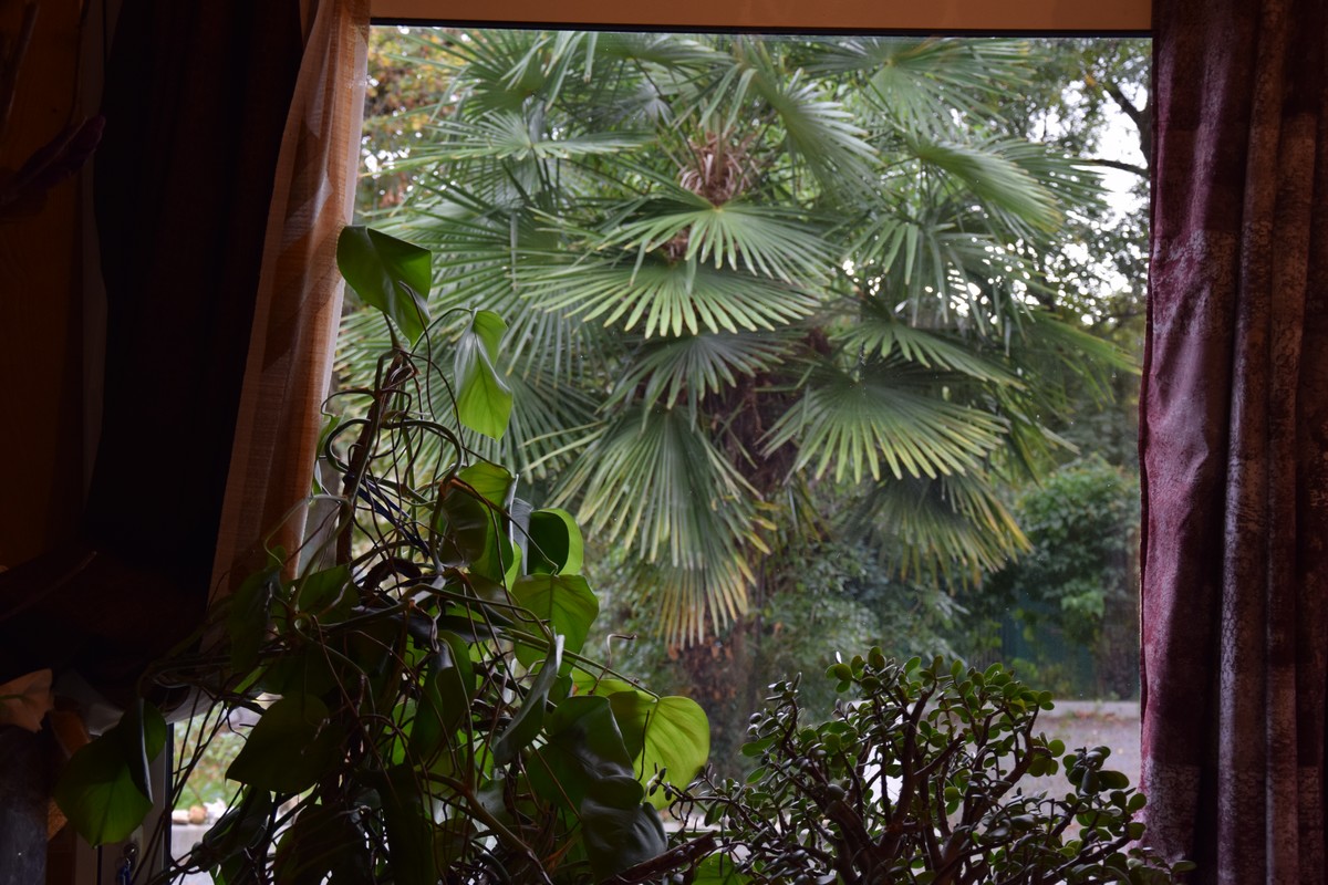 Gîte de Lydie, La Chapelle-Gonaguet - photo 11