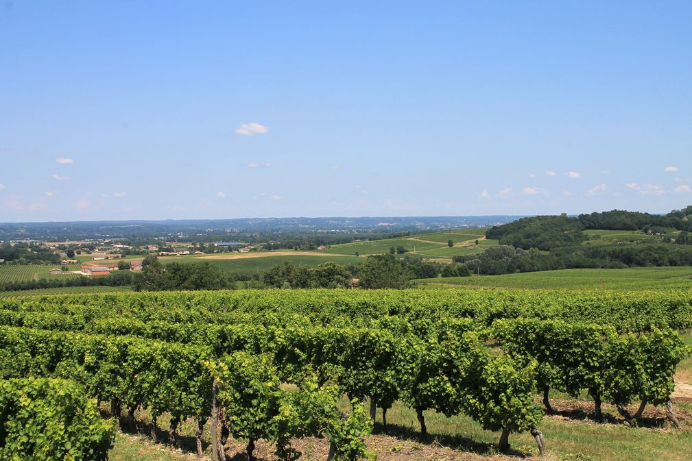 Domaine du Haut Montlong - photo 4