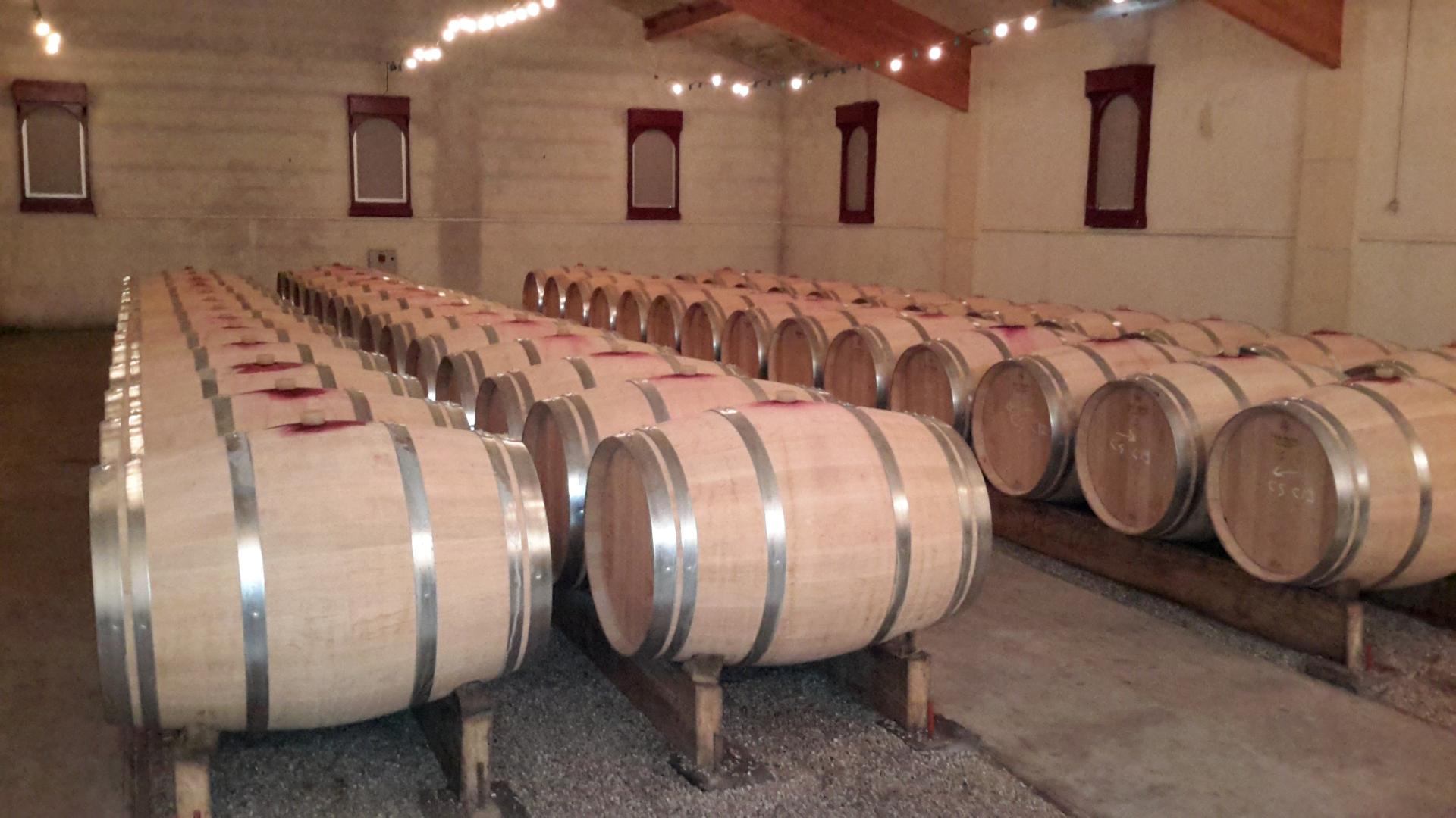 Château Haut-Lagrange - photo 5