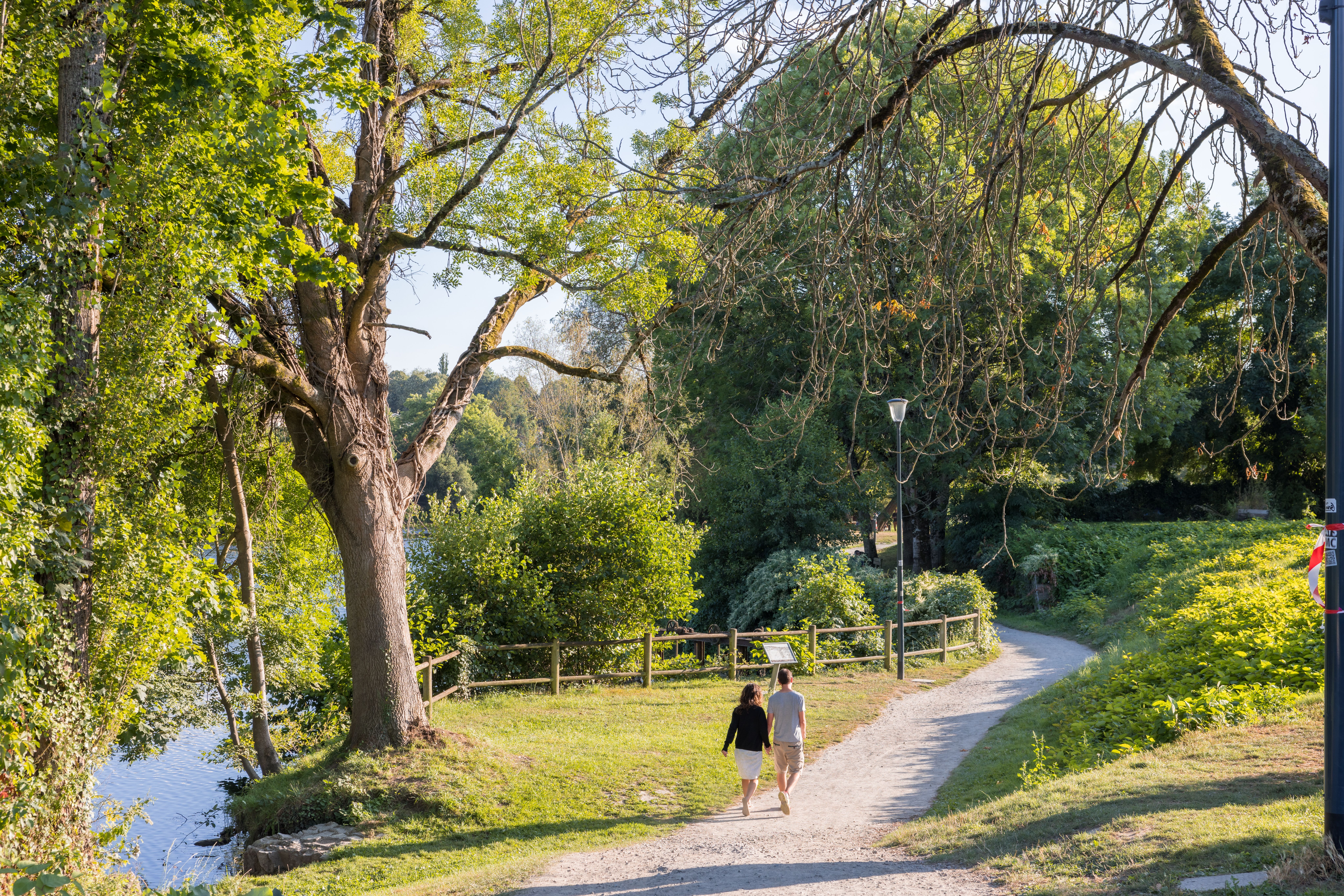 Bords de Vienne - photo 3
