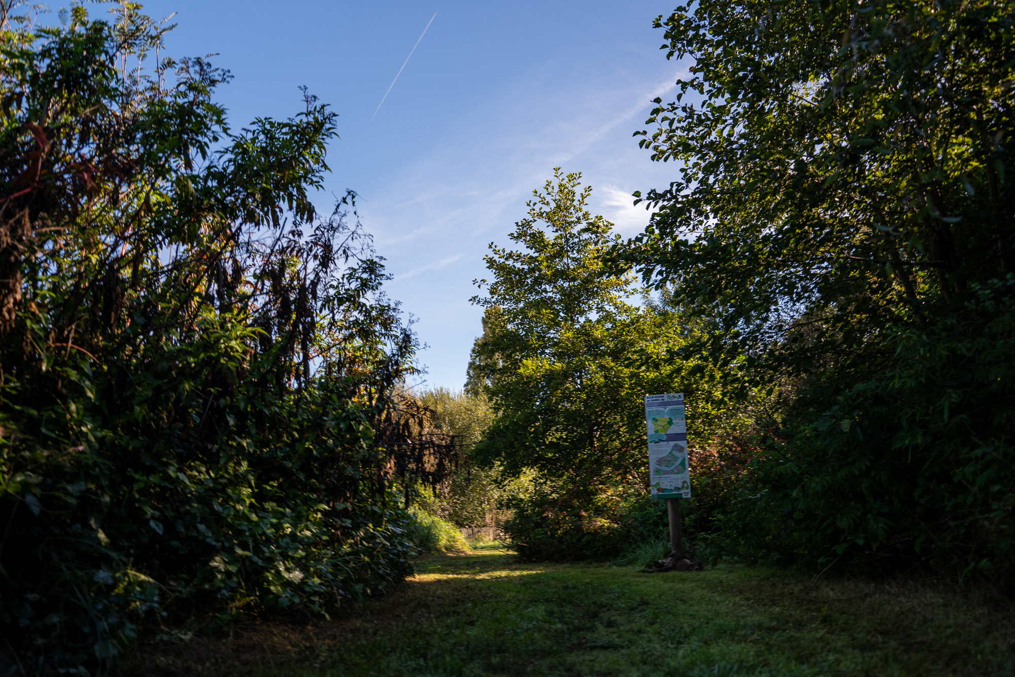 Aire de biodiversité de Lamouly