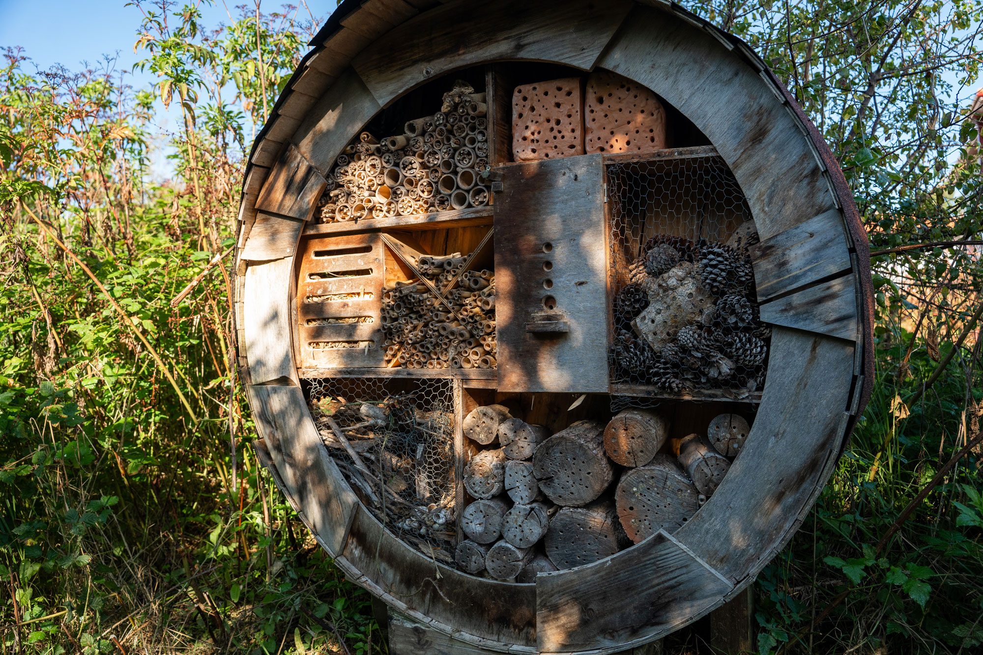 Aire de biodiversité de Lamouly — Parcs & Jardins à Pyrénées-Atlantiques