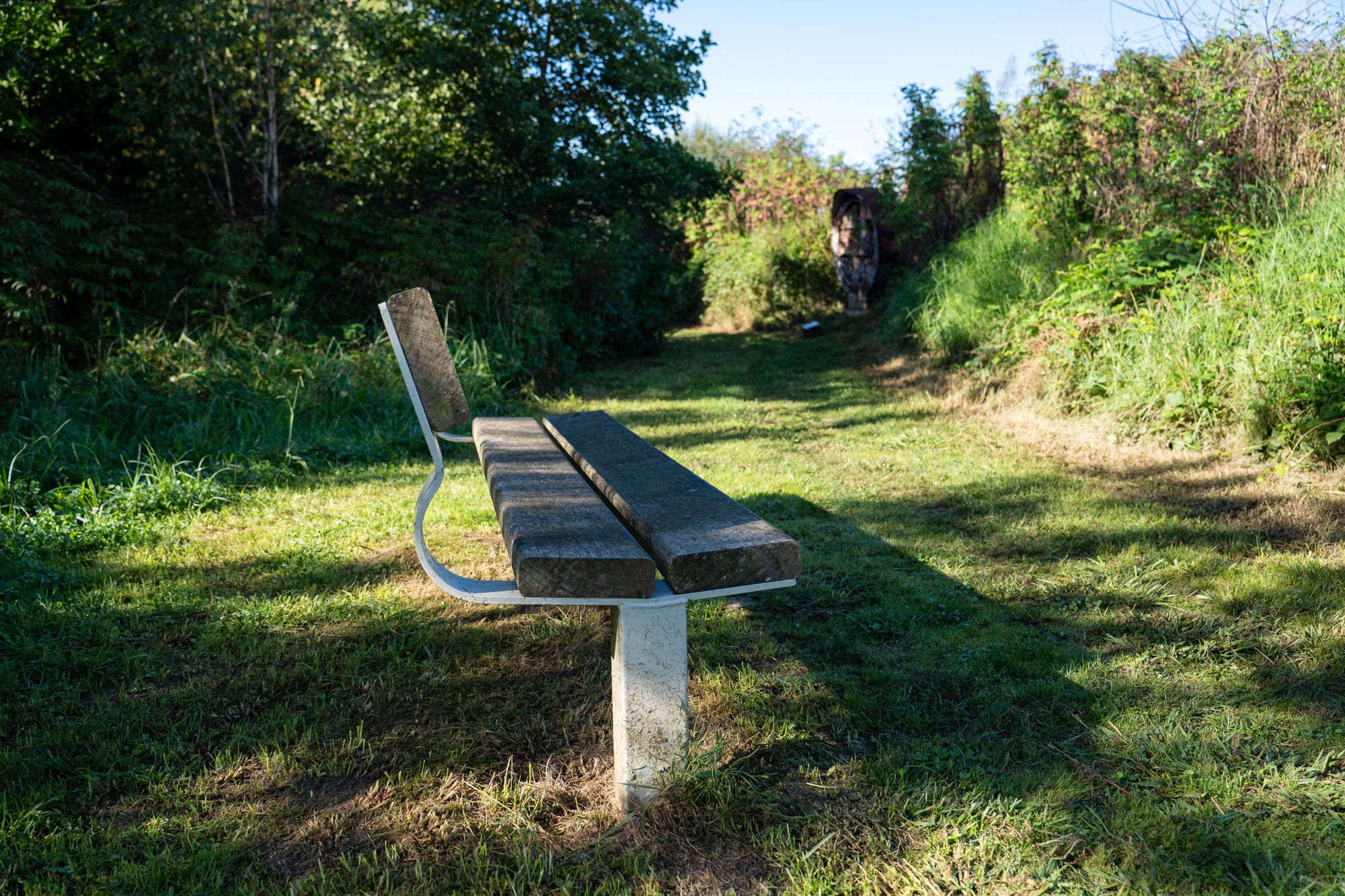 Aire de biodiversité de Lamouly - photo 2