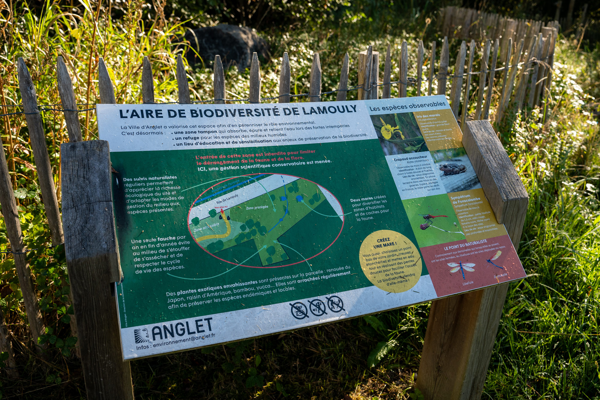 Aire de biodiversité de Lamouly - photo 4